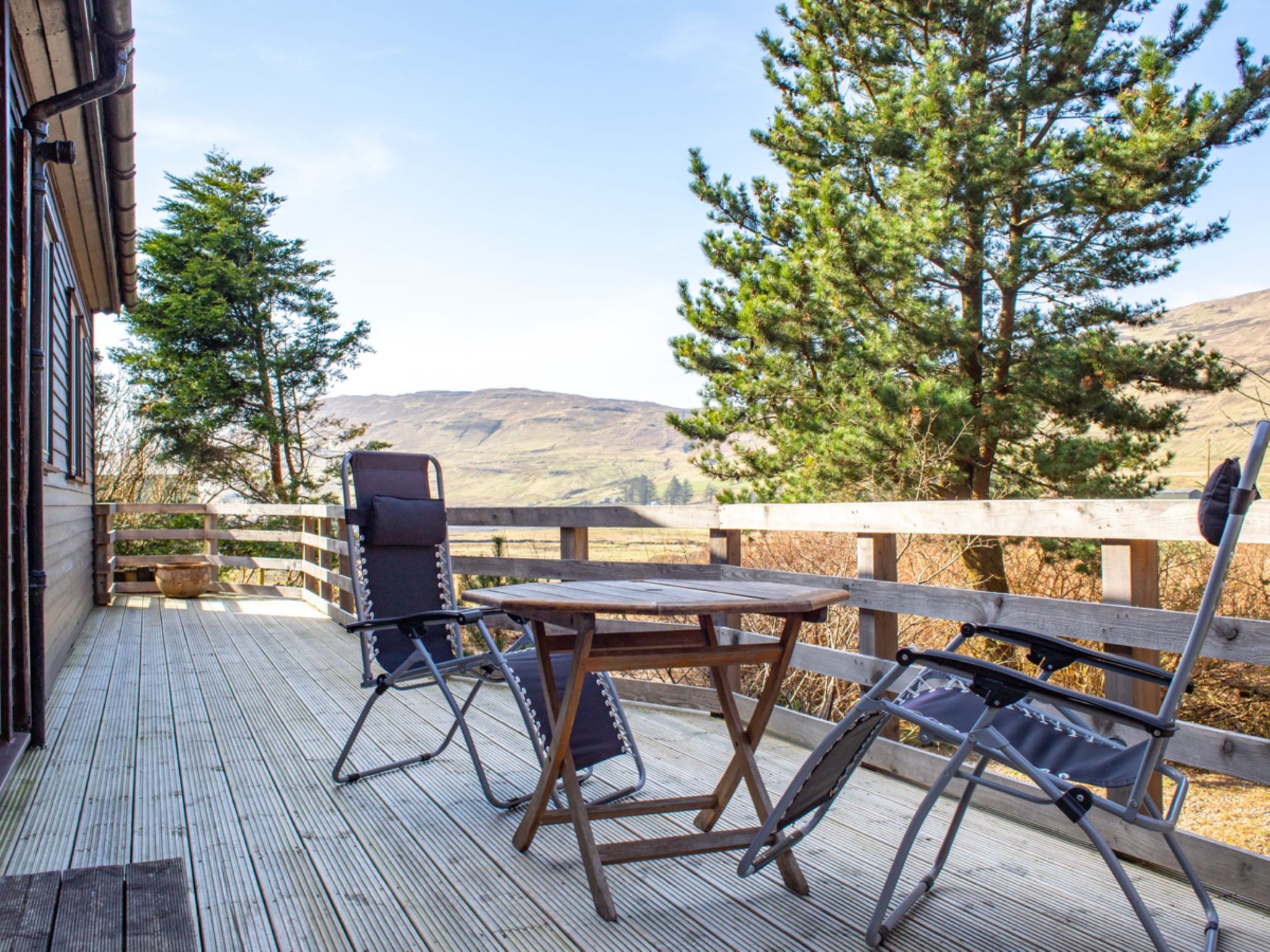 Photo of Blue Lobster