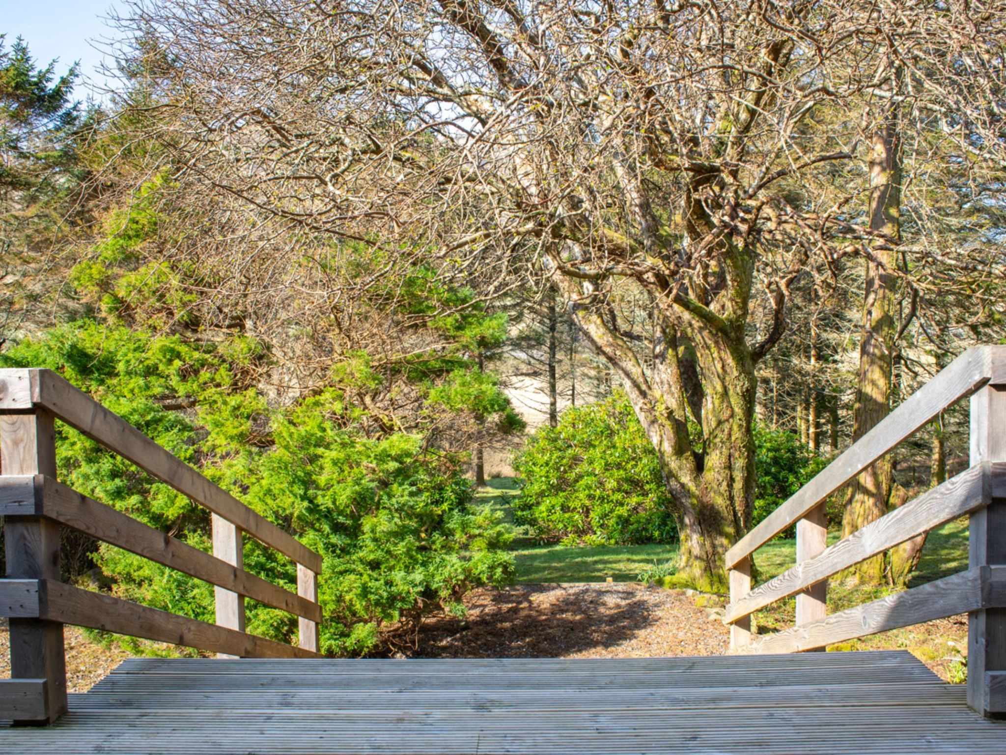 Photo of Blue Lobster