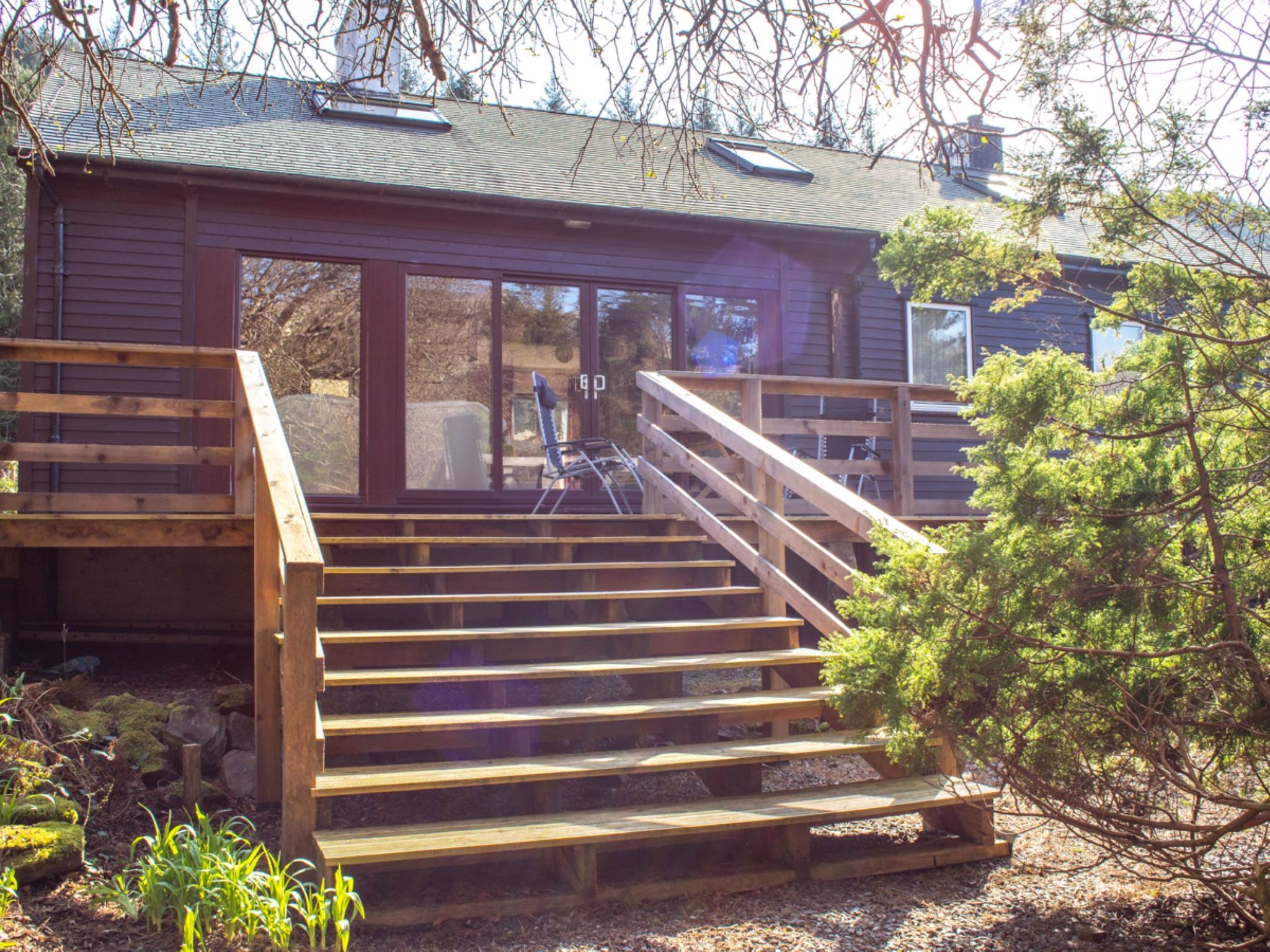 Photo of Blue Lobster