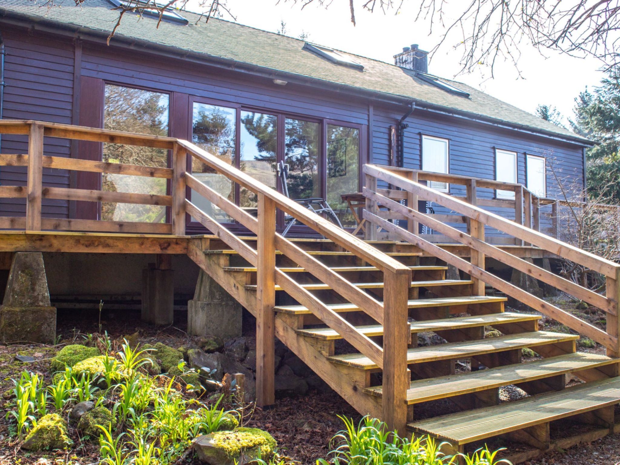 Photo of Blue Lobster