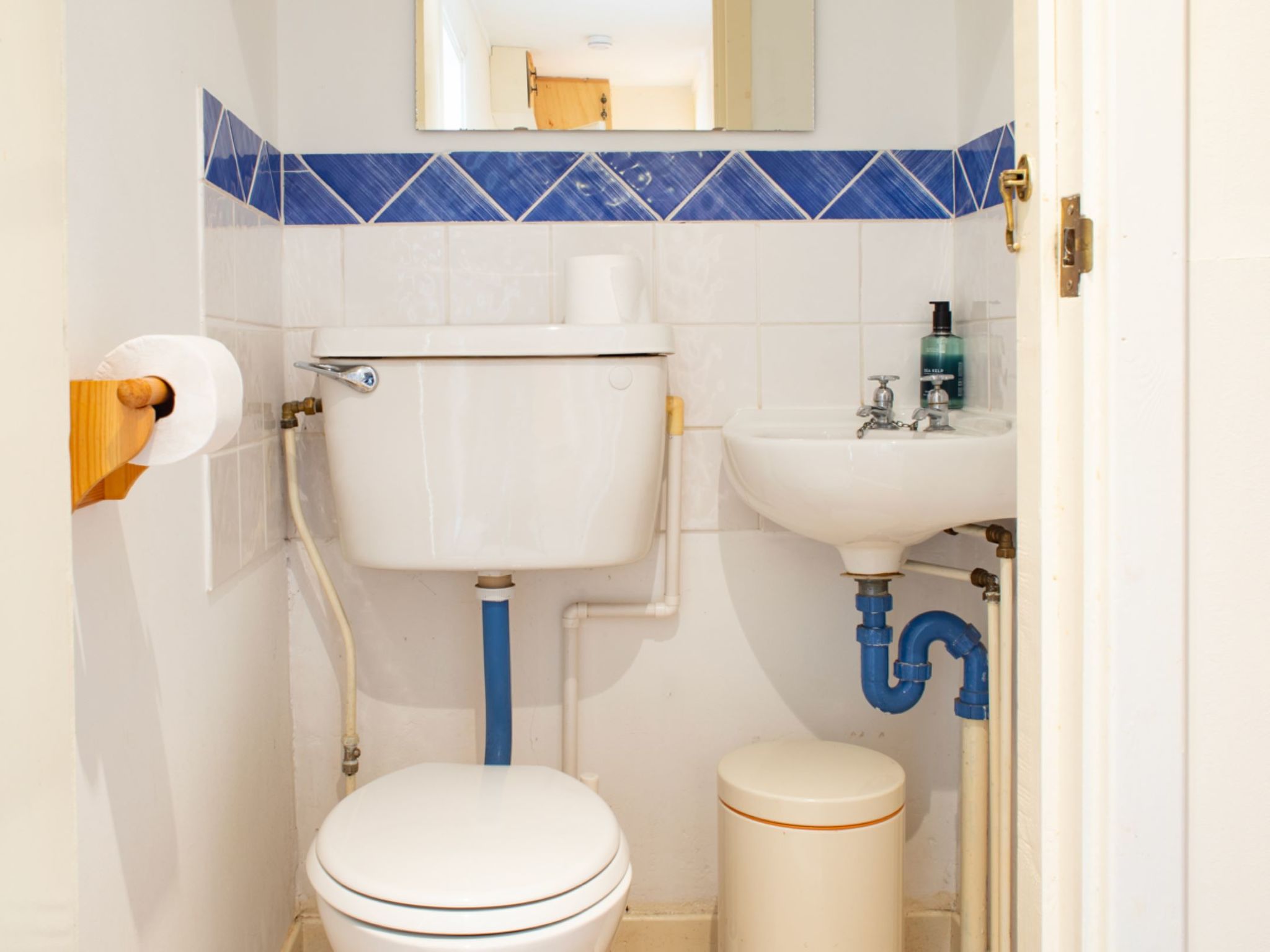 Photo of Blue Lobster