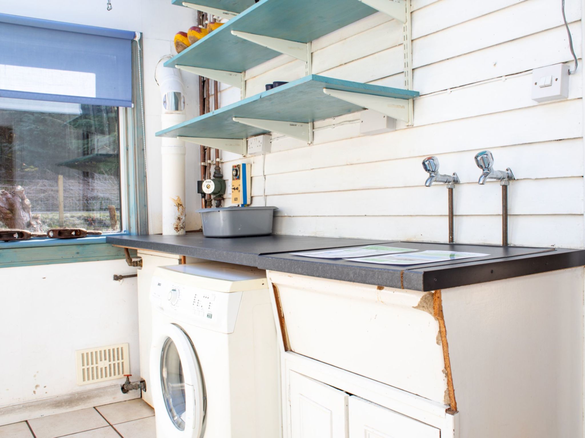 Photo of Blue Lobster