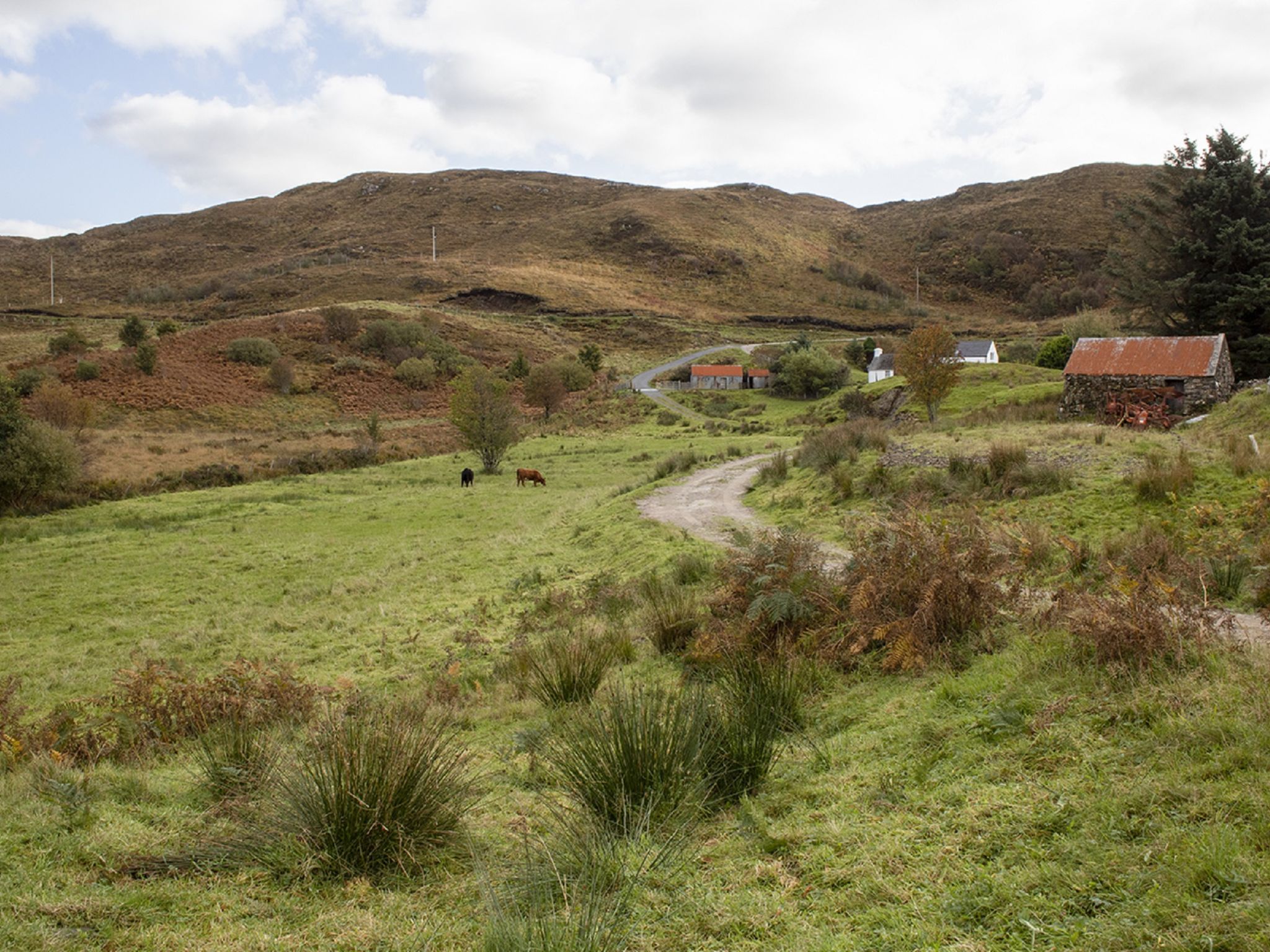 Photo of Joan's House