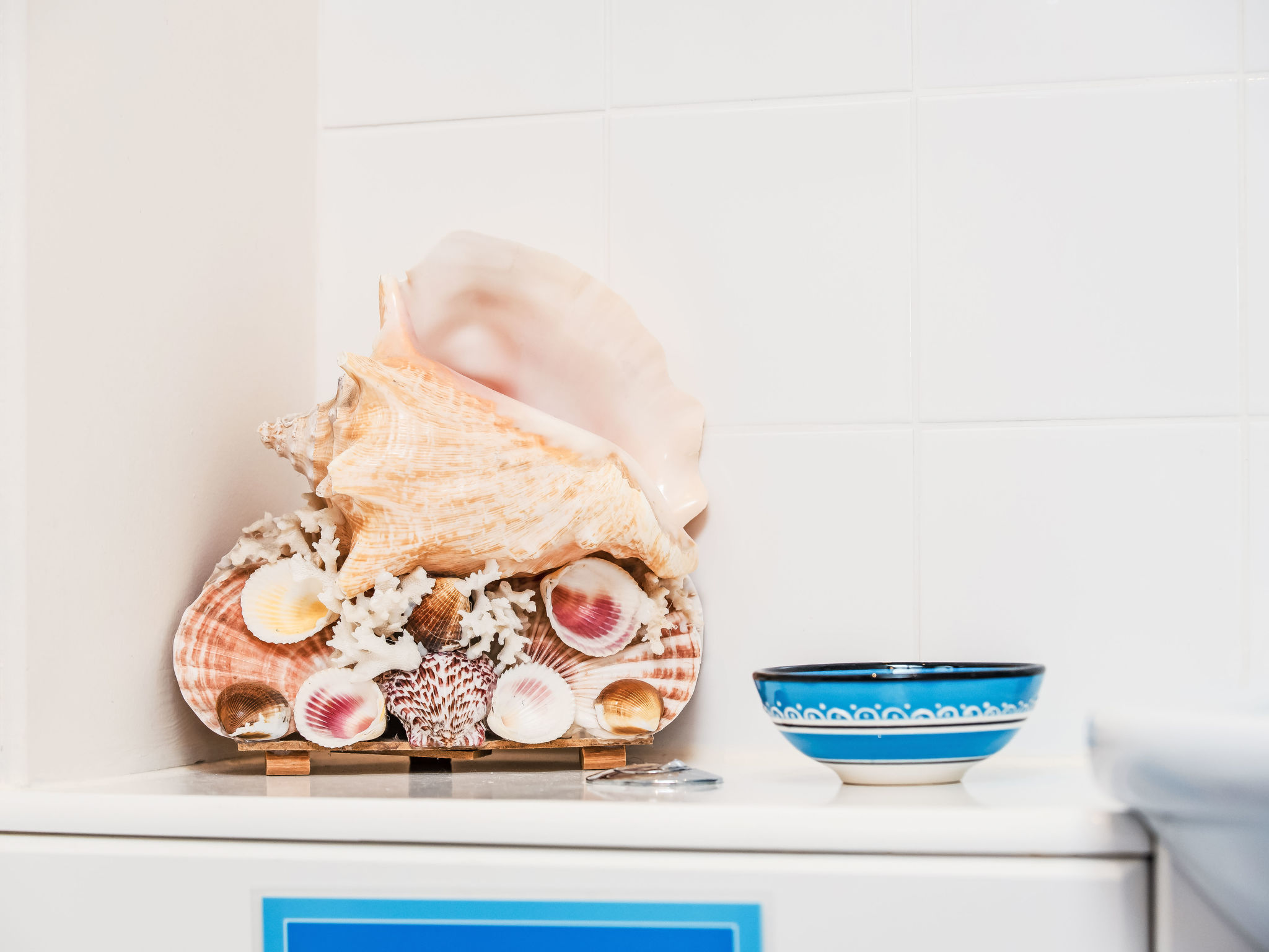 Frobost Lodge-Binnen