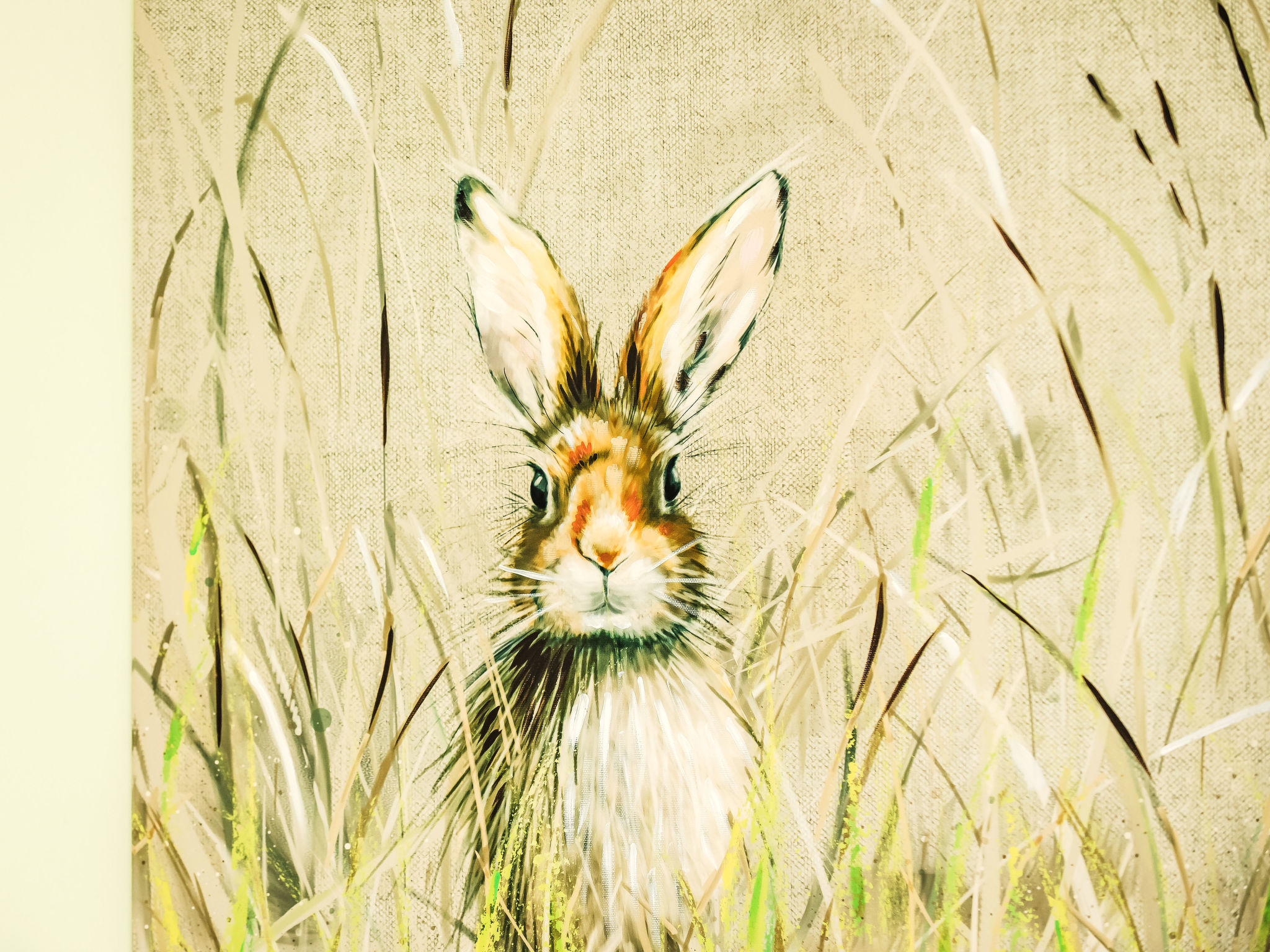 Frobost Lodge-Buiten