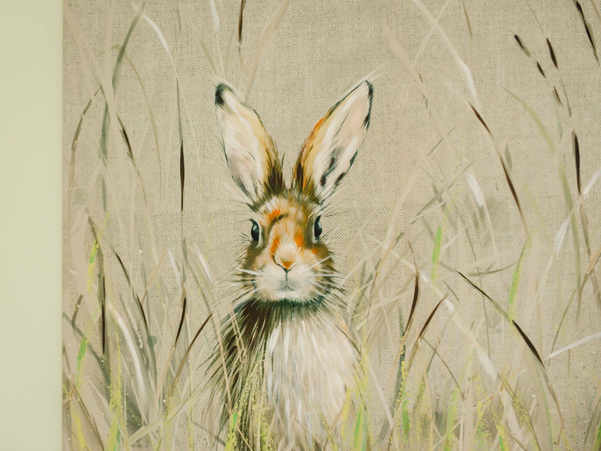 Benderloch House & Frobost Lodge-Buiten