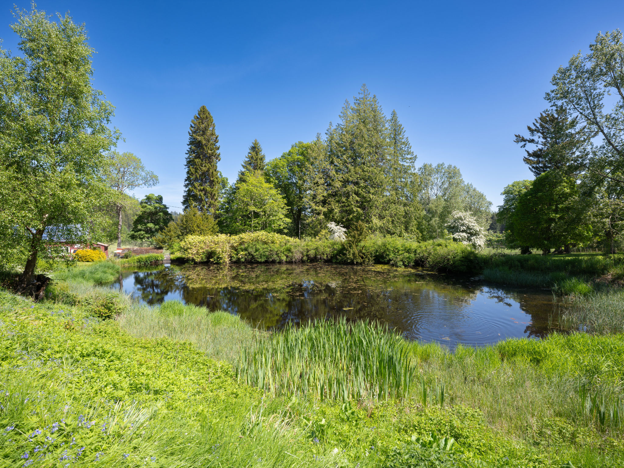 Coach House on Aigas Golf Course - Buiten
