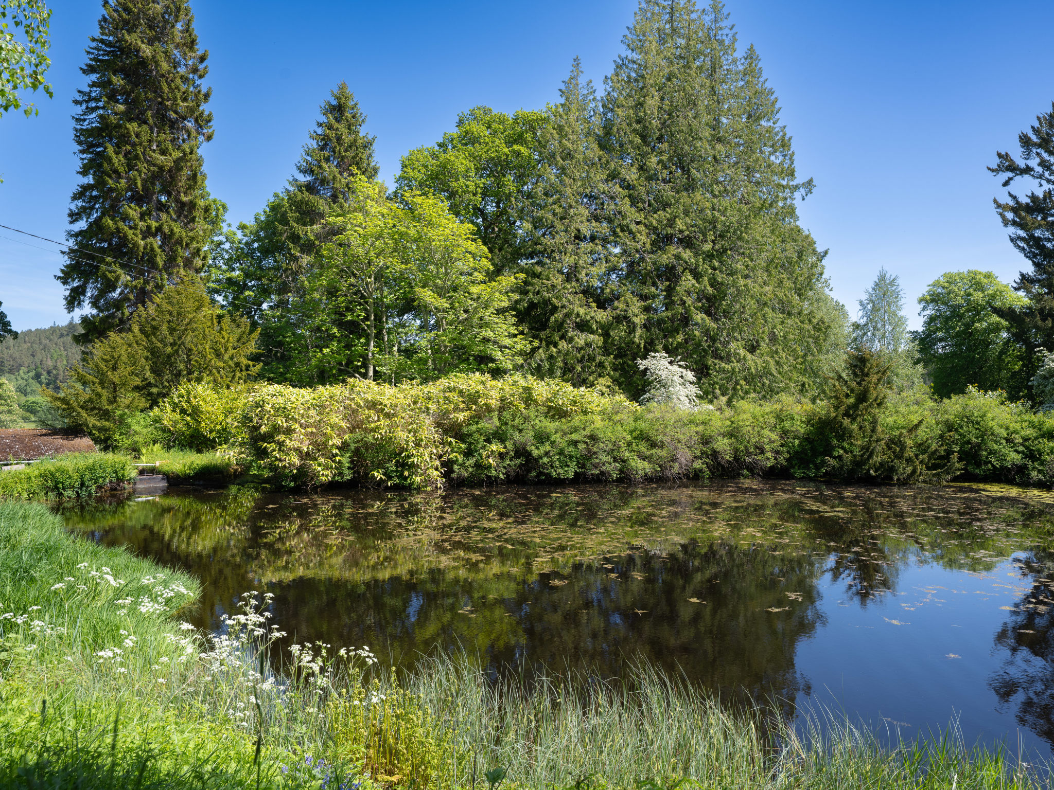 Coach House on Aigas Golf Course - Buiten