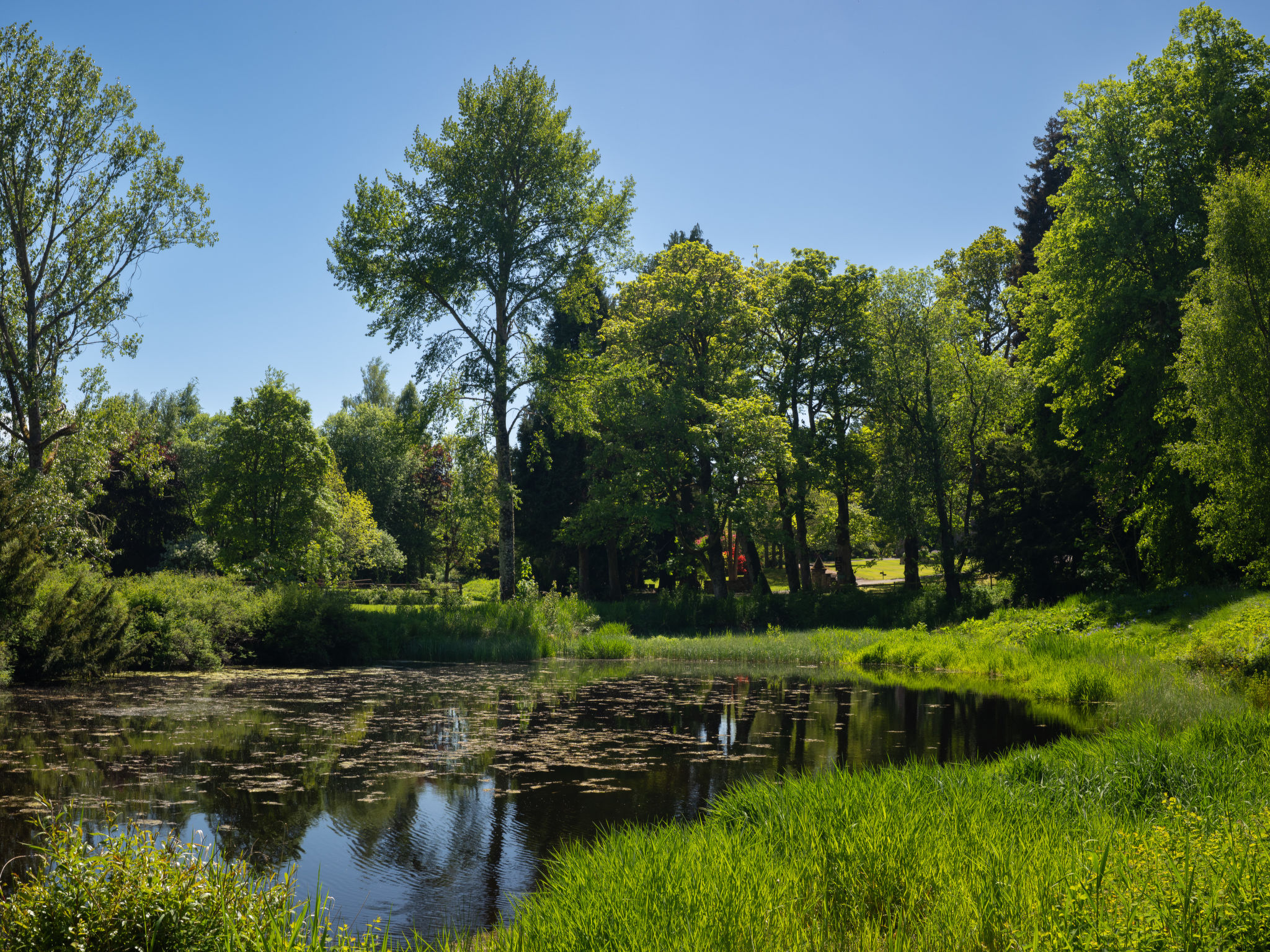 Coach House on Aigas Golf Course - Buiten