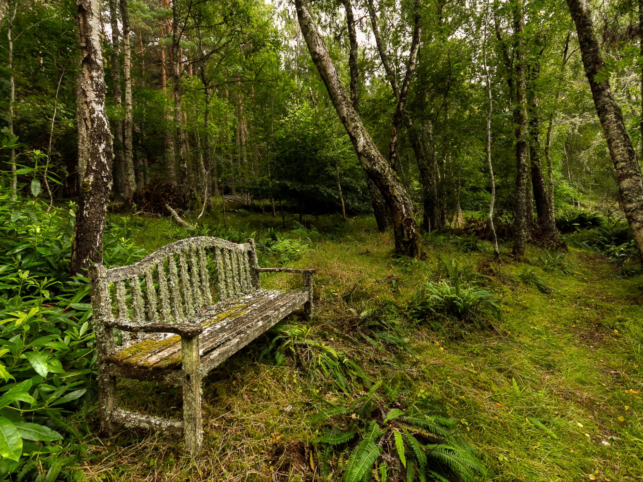 Mam Mor Lodge - Outside