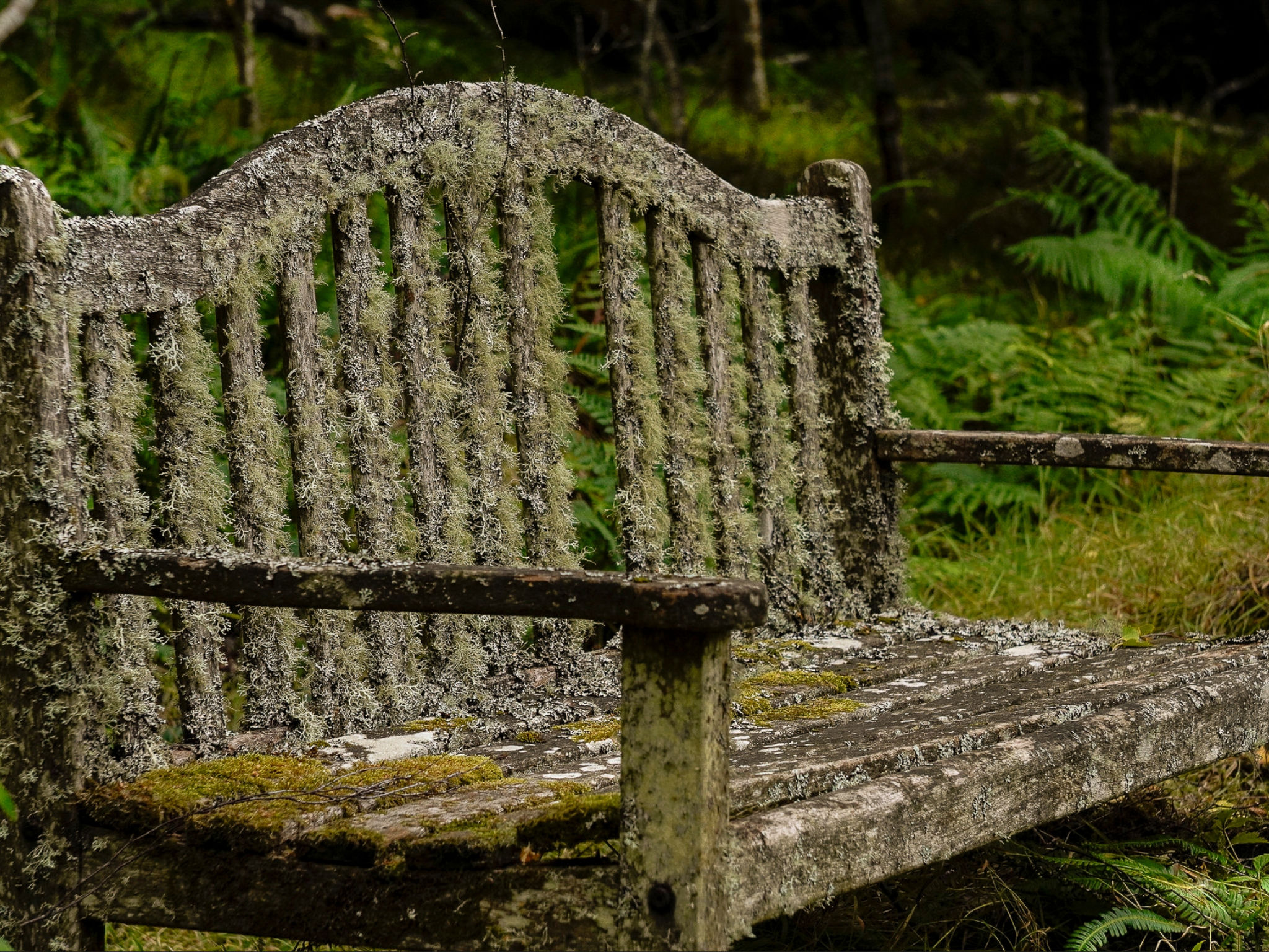 Mam Mor Lodge - Outside
