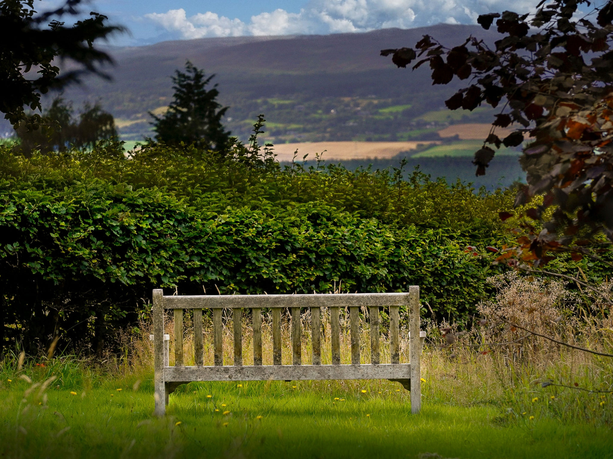 Mam Mor Lodge - Outside