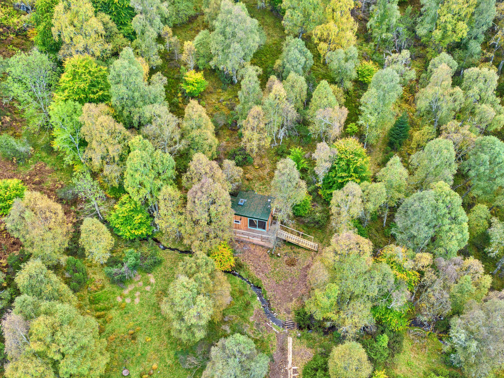 Cosagach Falls Cabin