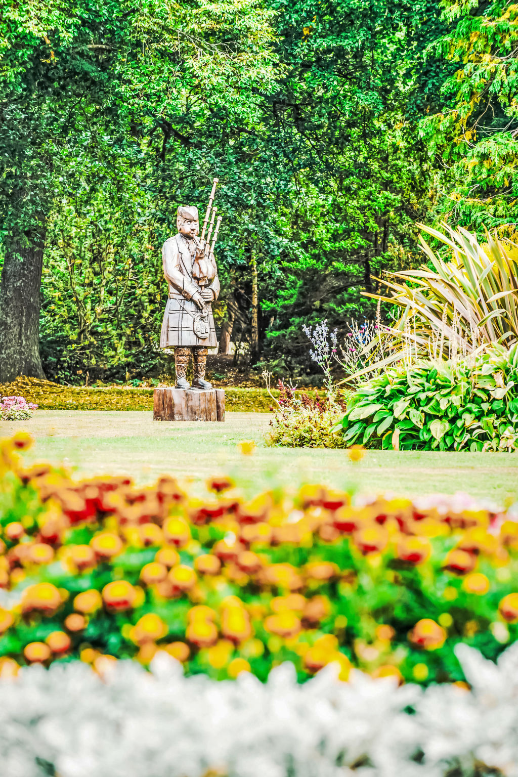Forres View-Omgeving