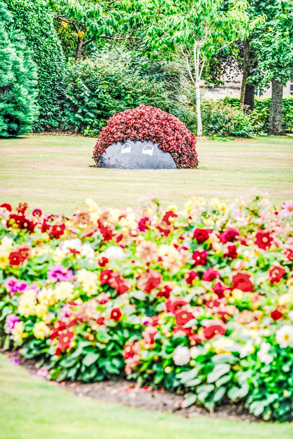 Forres View-Omgeving