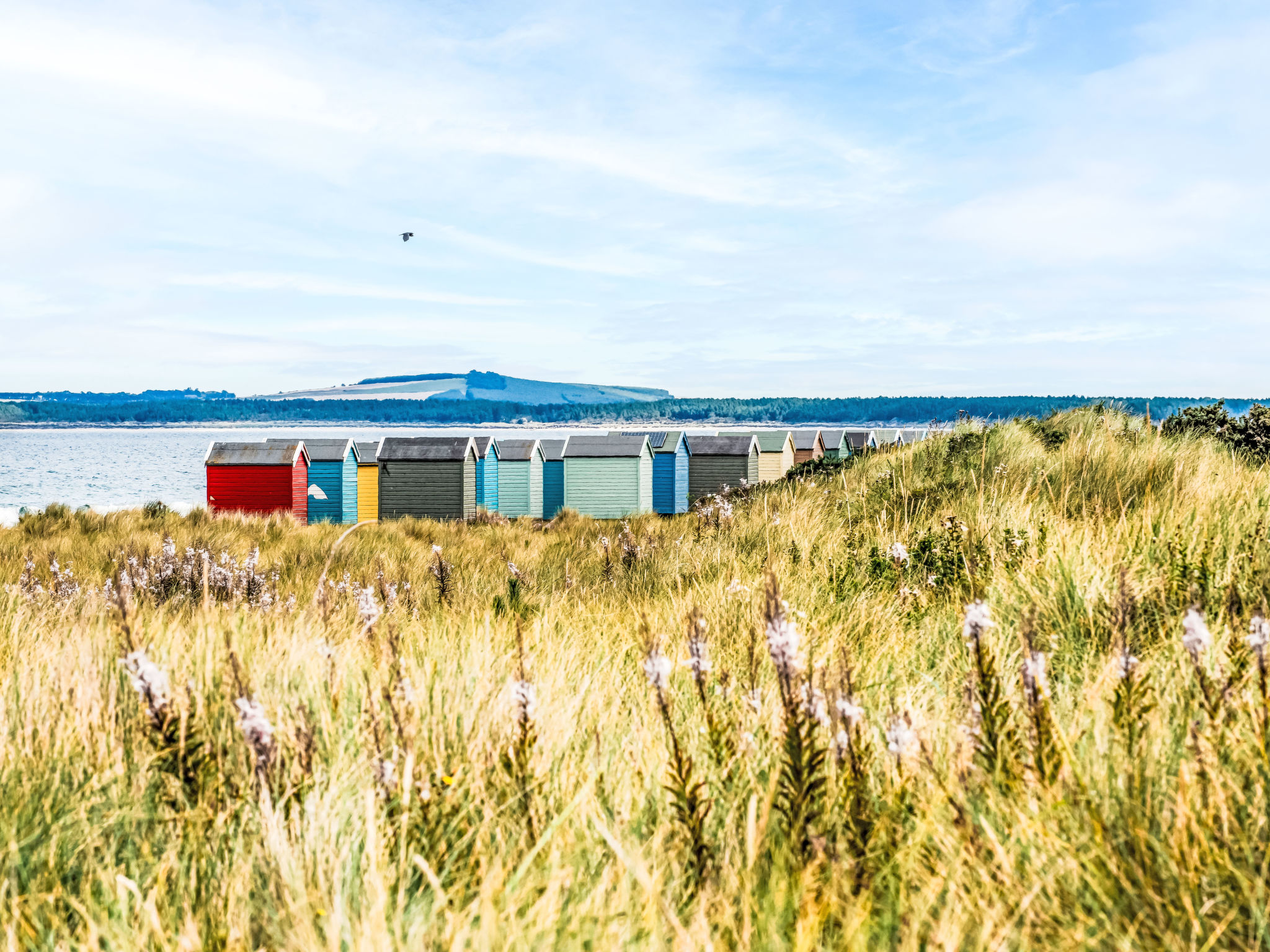 Forres View-Omgeving