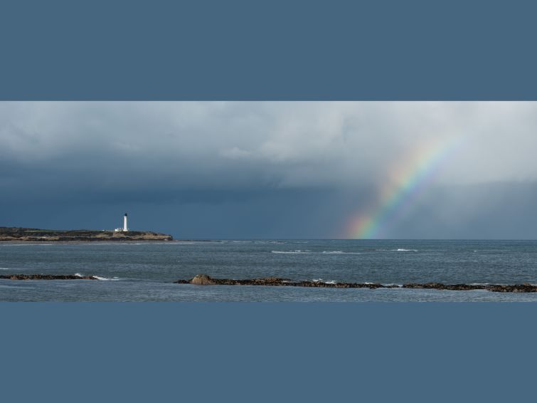 Photo of Harbour Nights Deluxe 7C