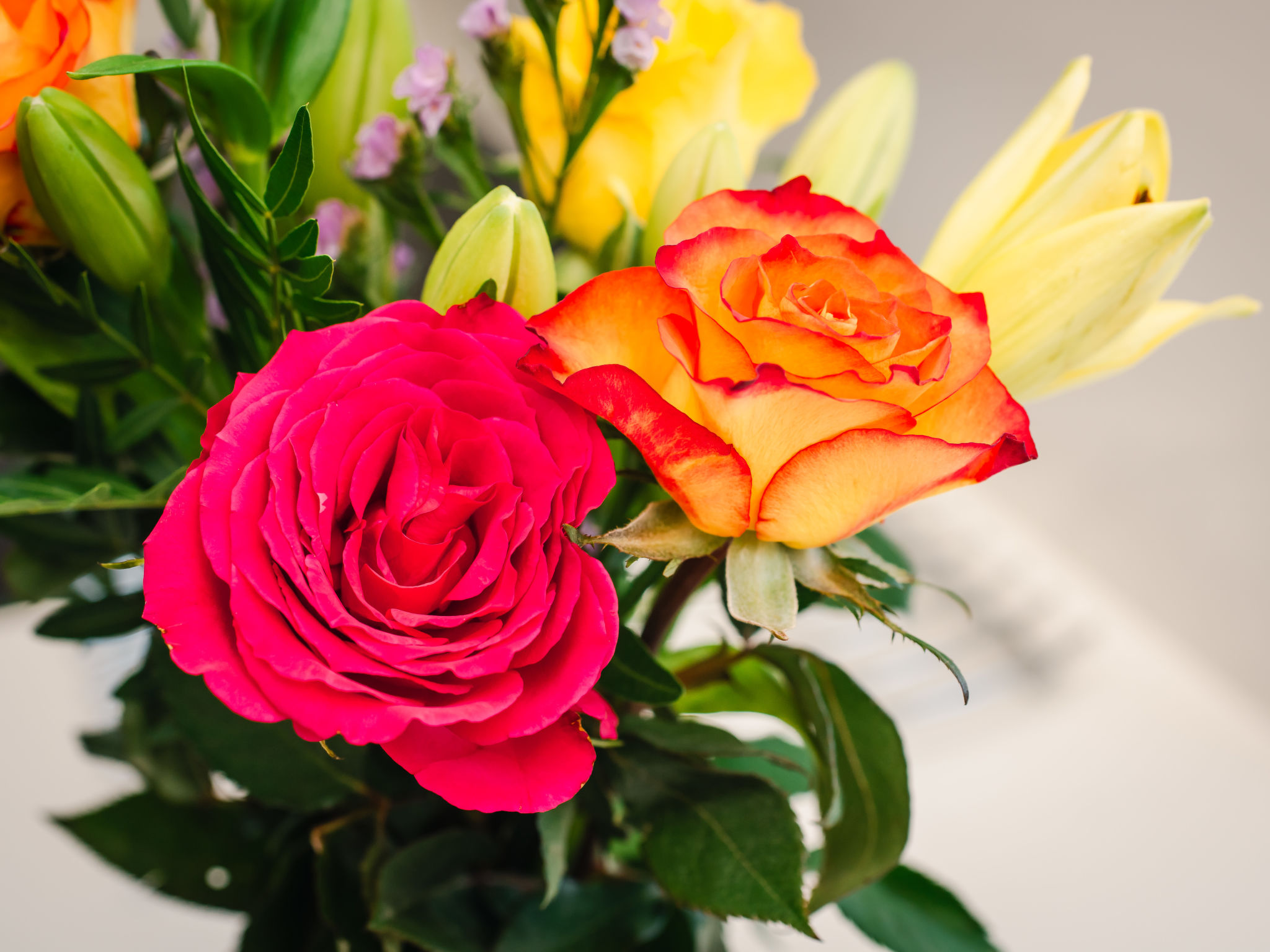 Photo of Waters Edge