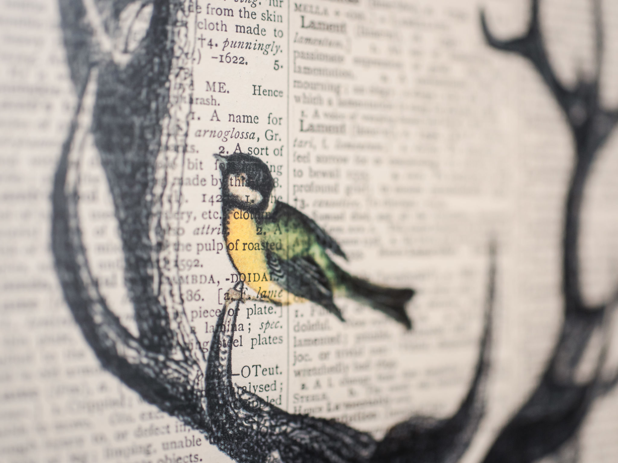 Photo of Waters Edge