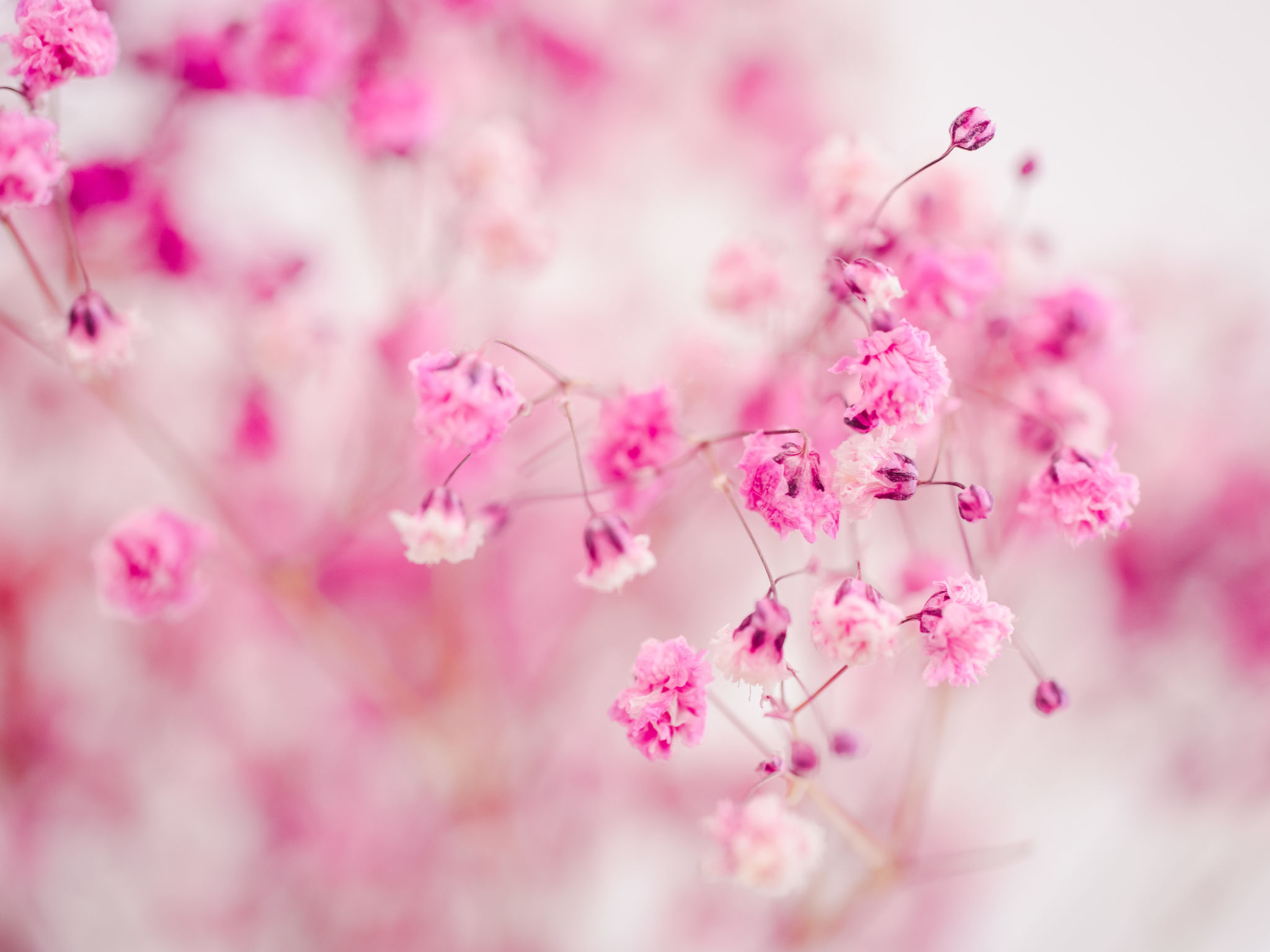 Photo of Waters Edge