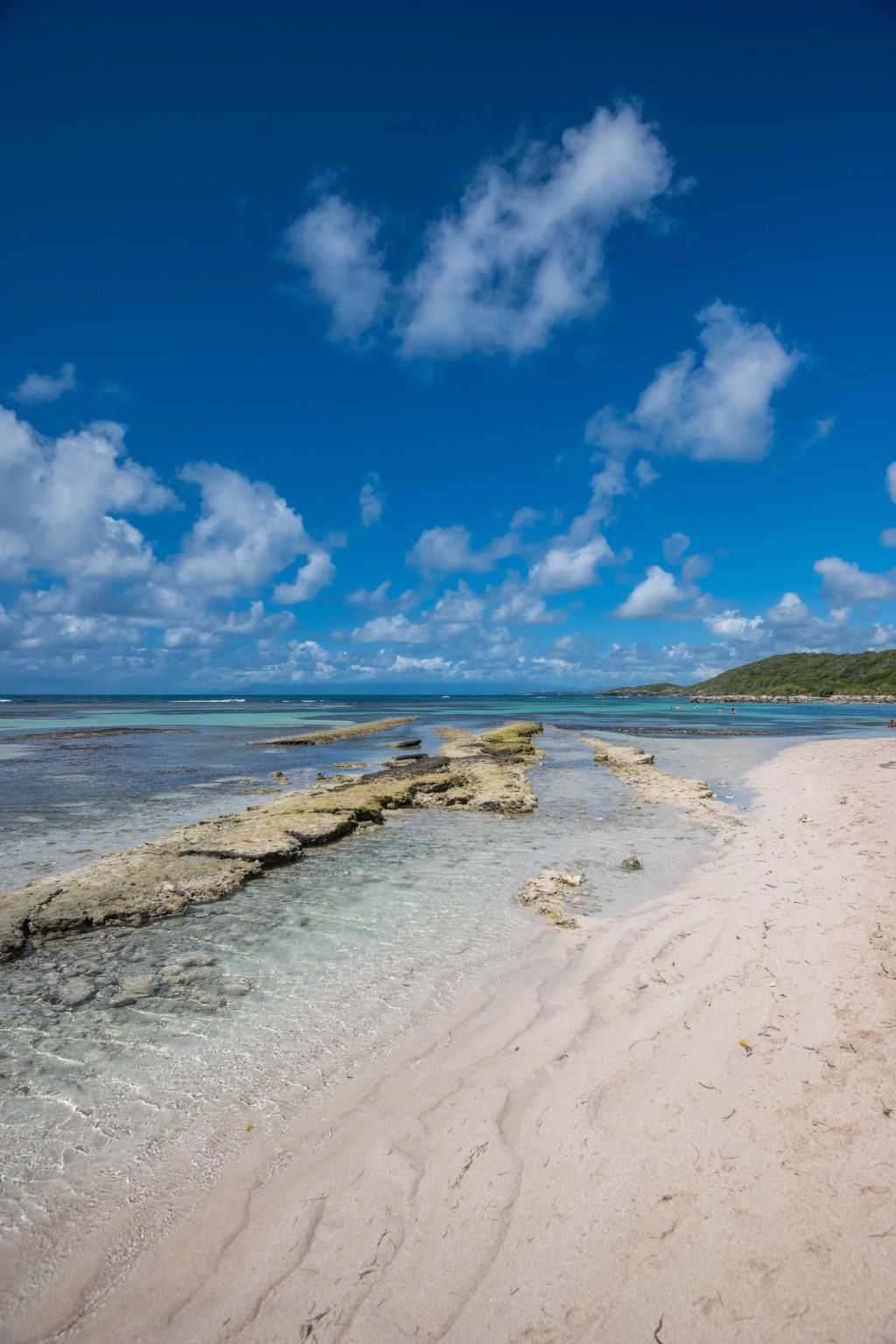 Appartement Der Tropische Flamboyant – Plage, photo 33 sur 40