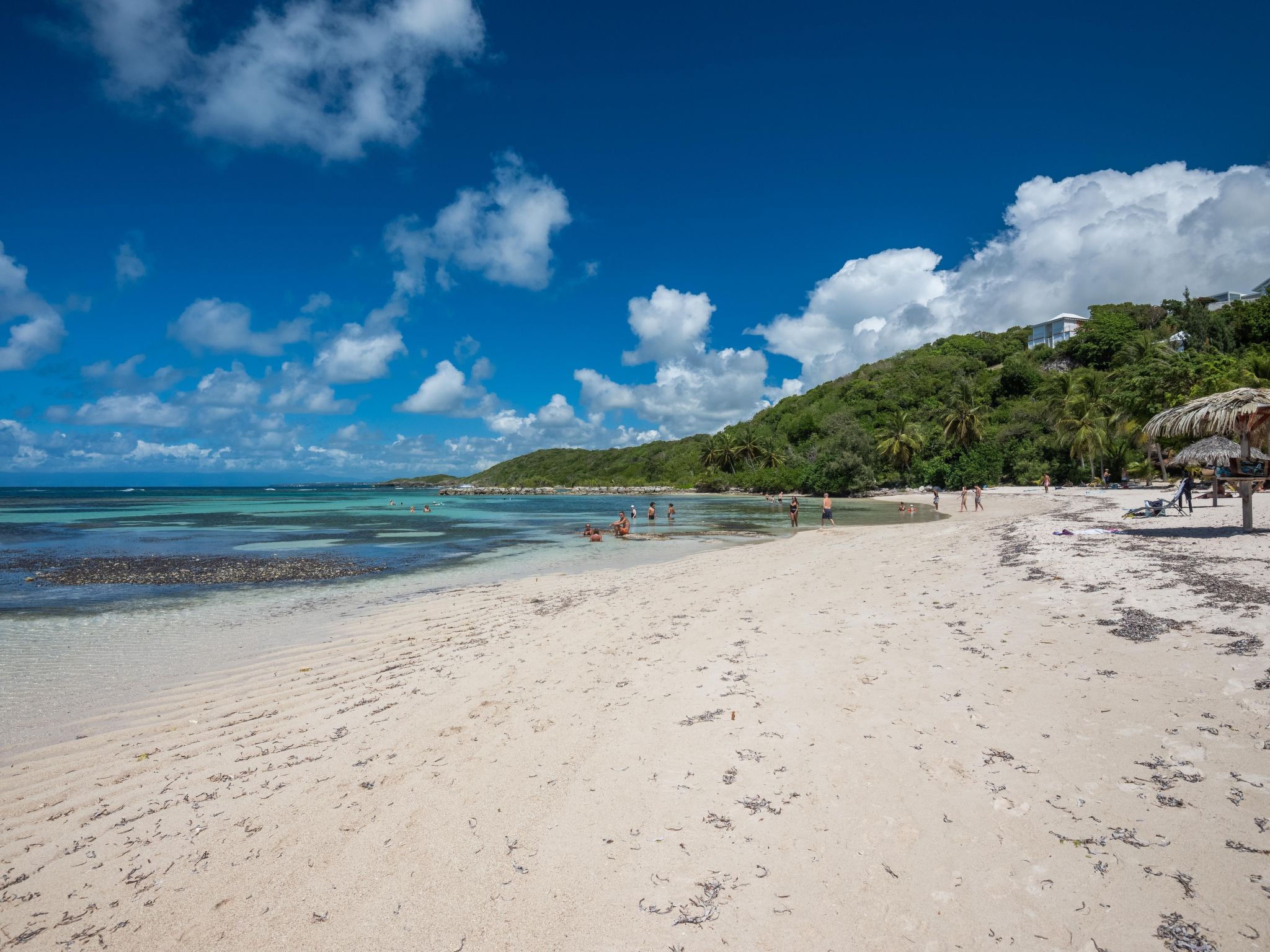 Appartement Der Tropische Flamboyant – Plage, photo 34 sur 40