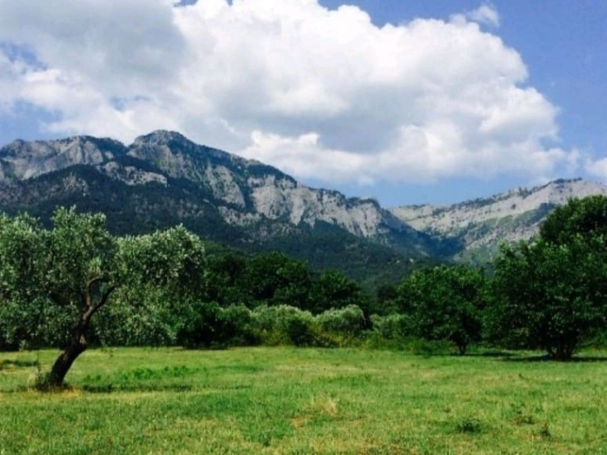 Neues Ferienhaus in Thasos mit Großer Terrasse-Image-tags.info