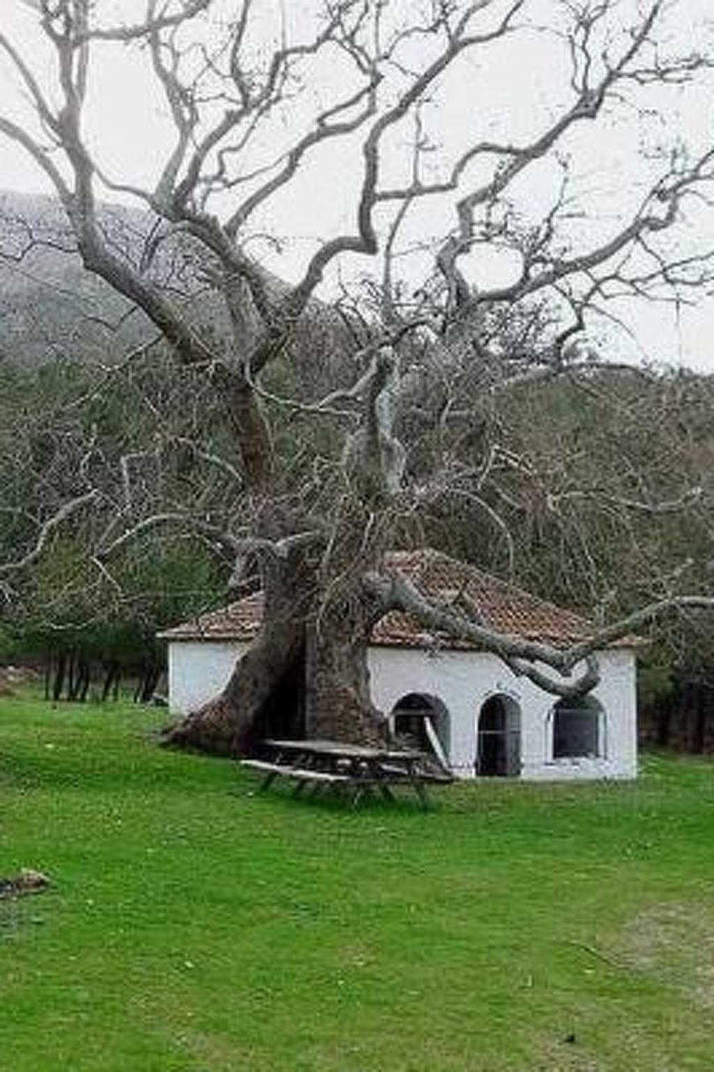Villa Symeon - Image-tags.info