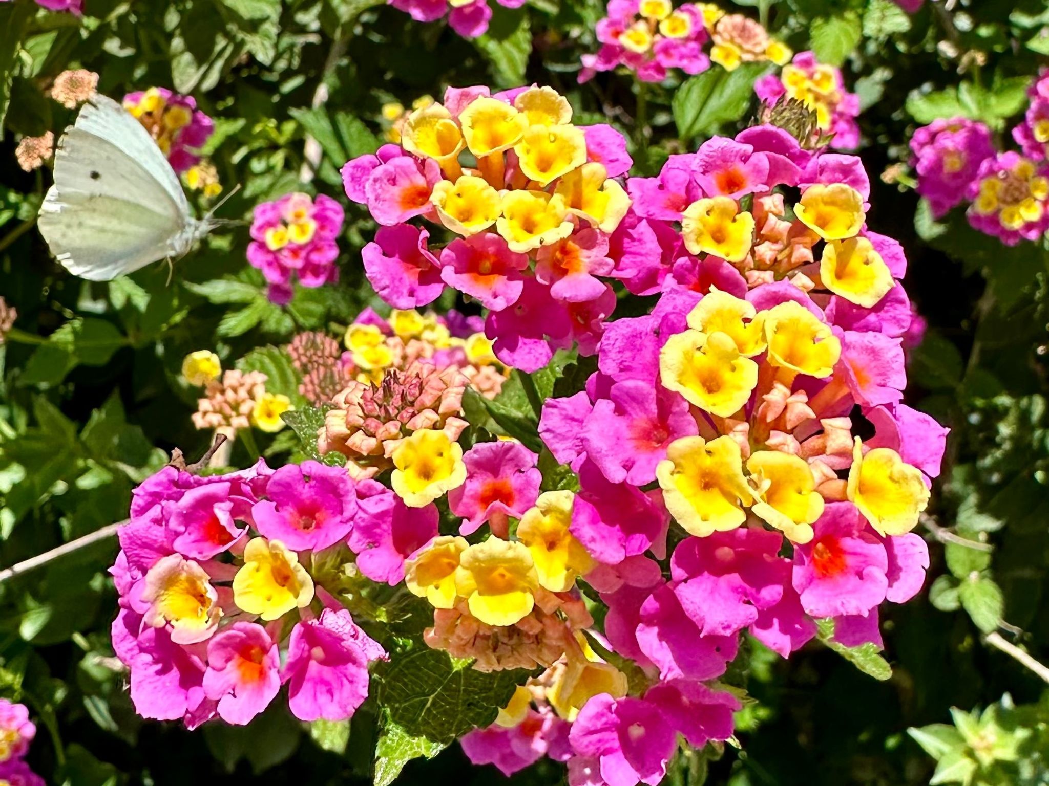 Prächtige Villa in spektakulärer Lage-Binnen