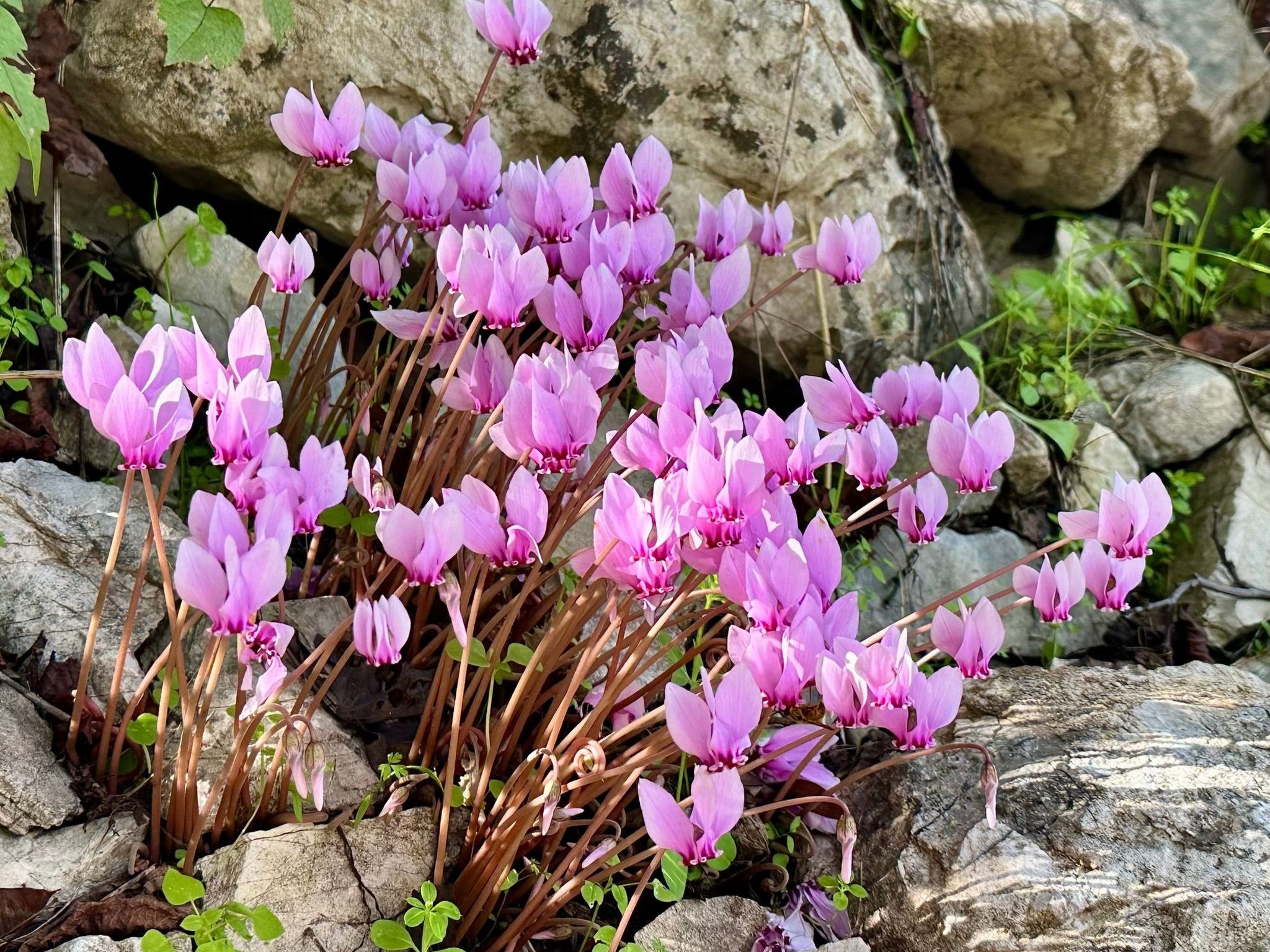 Prächtige Villa in spektakulärer Lage-Binnen