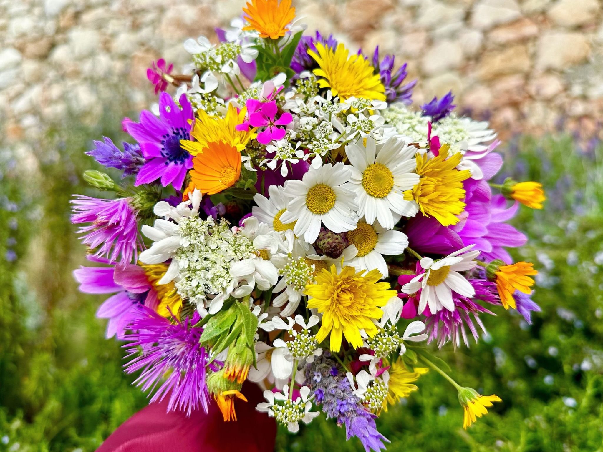 Prächtige Villa in spektakulärer Lage-Binnen