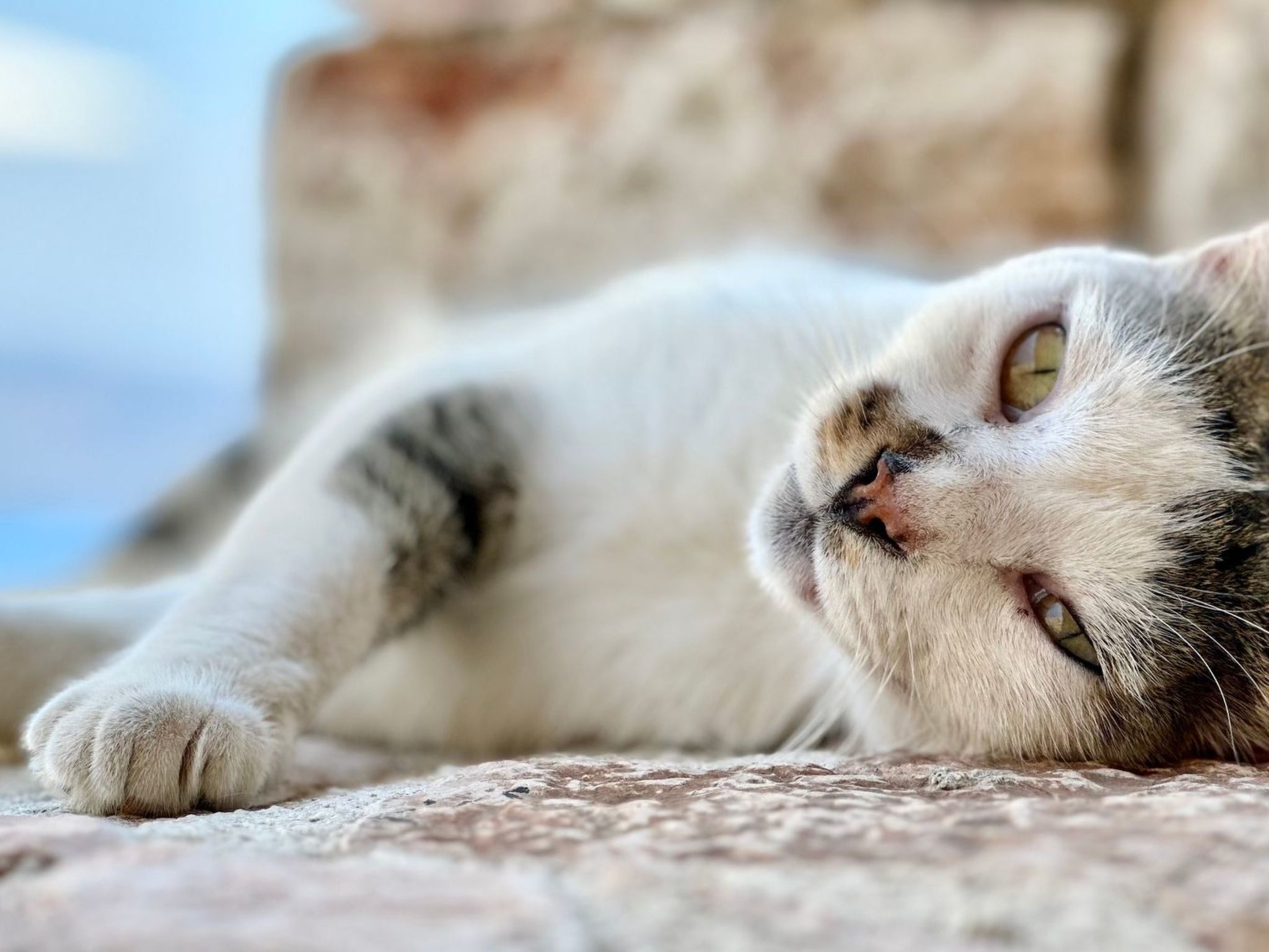 Prächtige Villa in spektakulärer Lage-Binnen