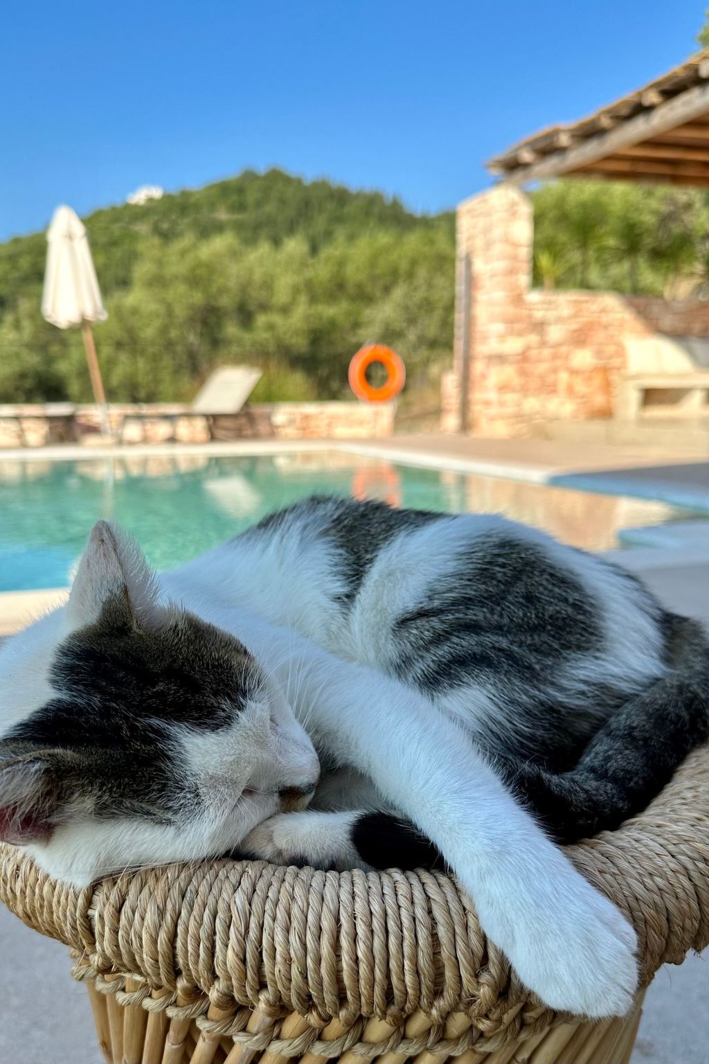 Prächtige Villa in spektakulärer Lage-Binnen