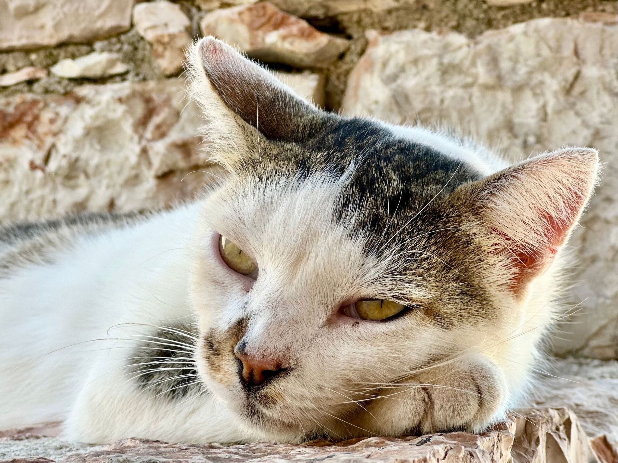 Prächtige Villa in spektakulärer Lage-Binnen