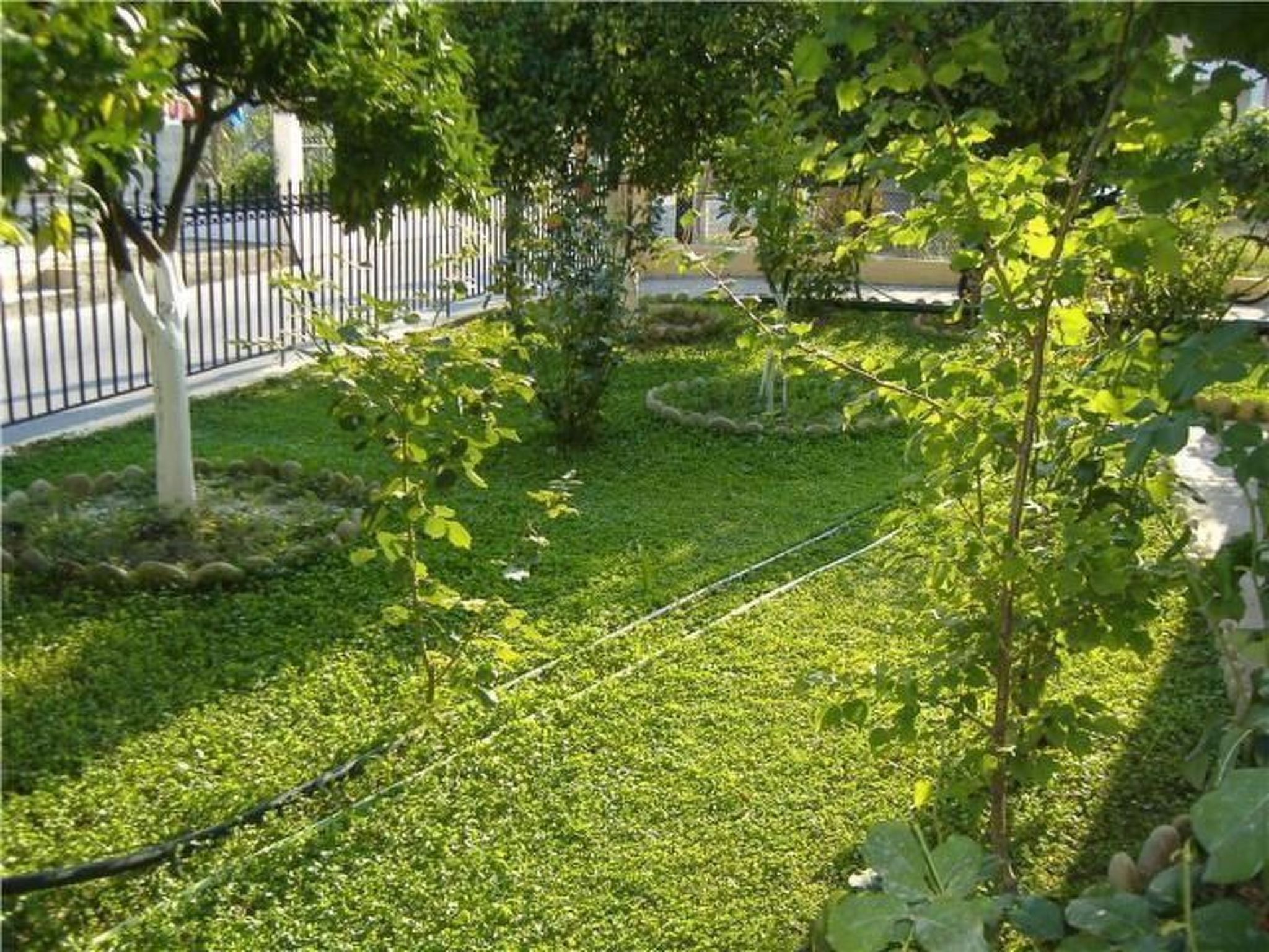 Photo of "Rantos" direkt am Strand