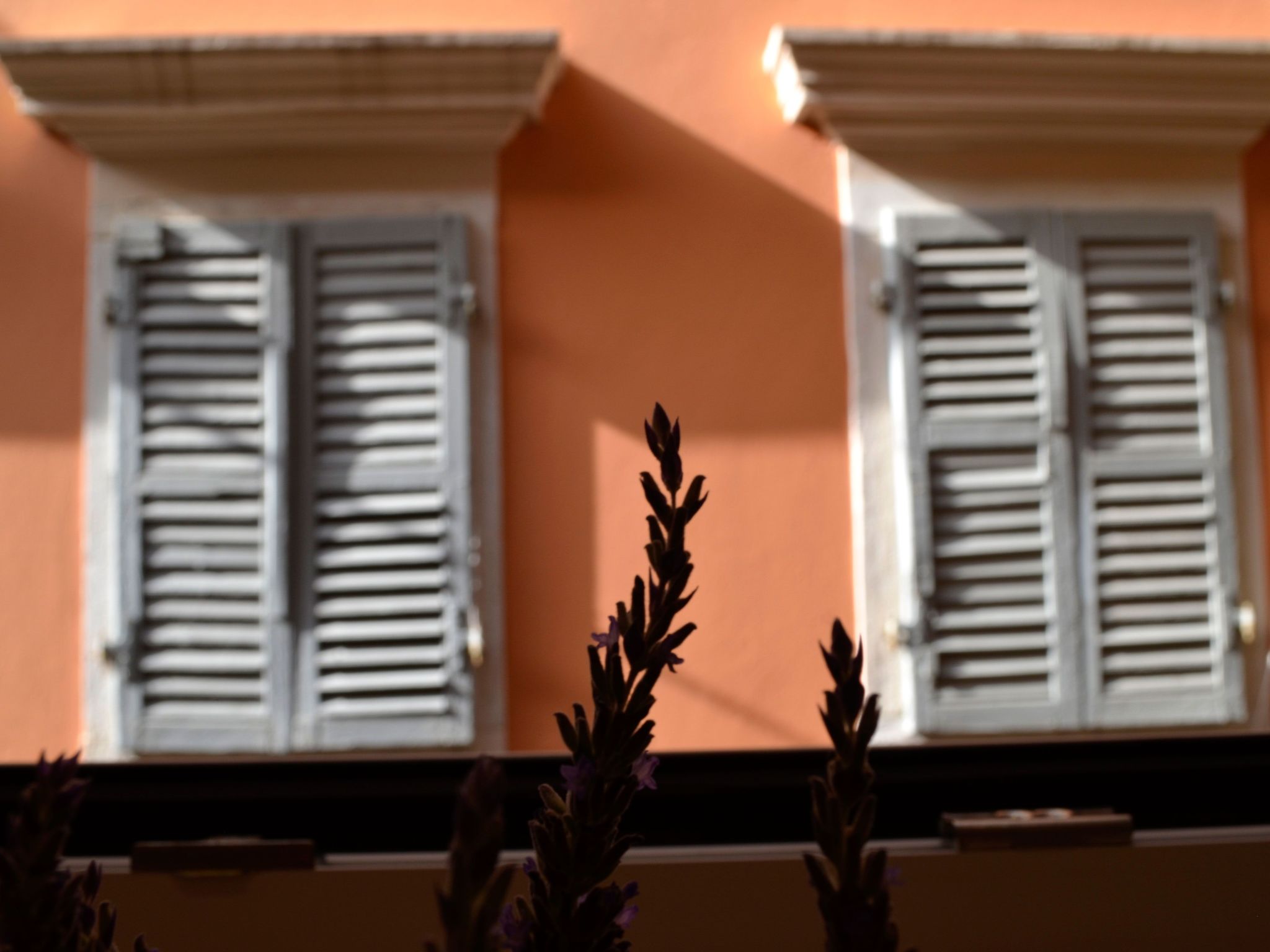 Photo of Palazzino Leone - Korfu Altstadt Deluxe Wohnung