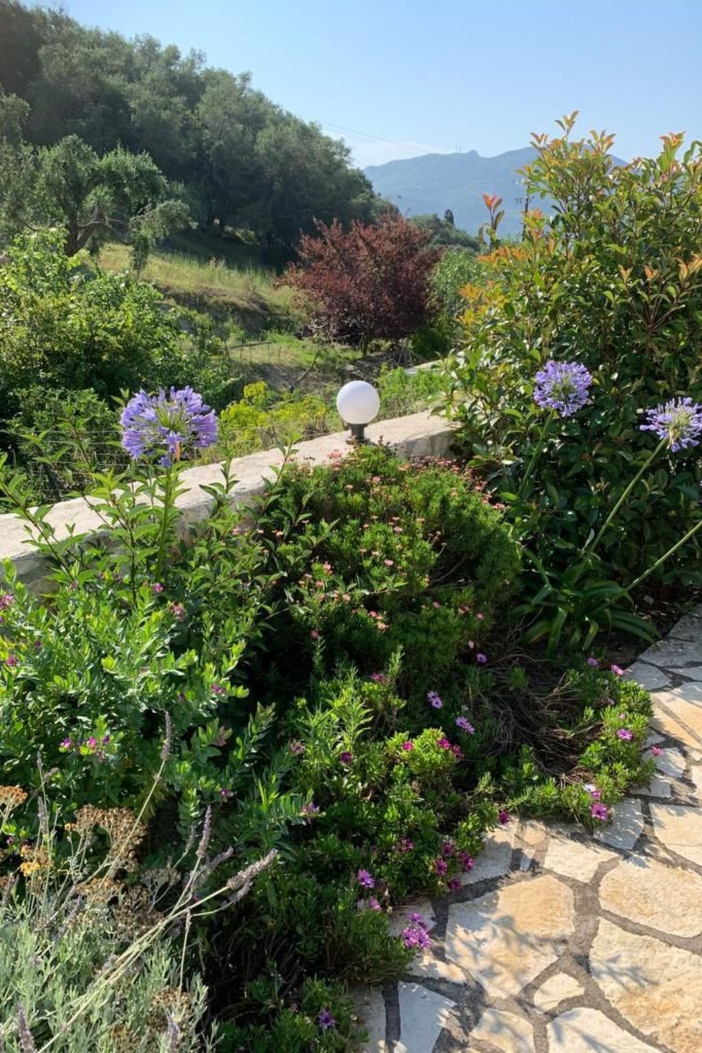 Vrijstaande Bungalow met Privézwembad bij Afion, Corfu - foto 15