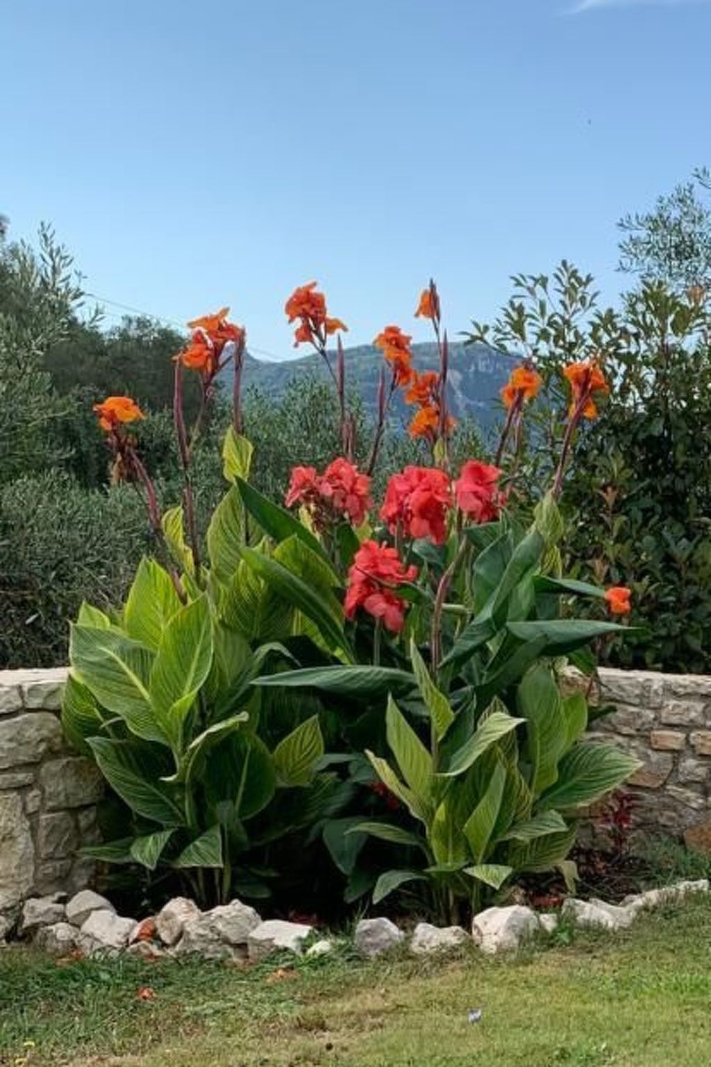 Vrijstaande Bungalow met Privézwembad bij Afion, Corfu - foto 19