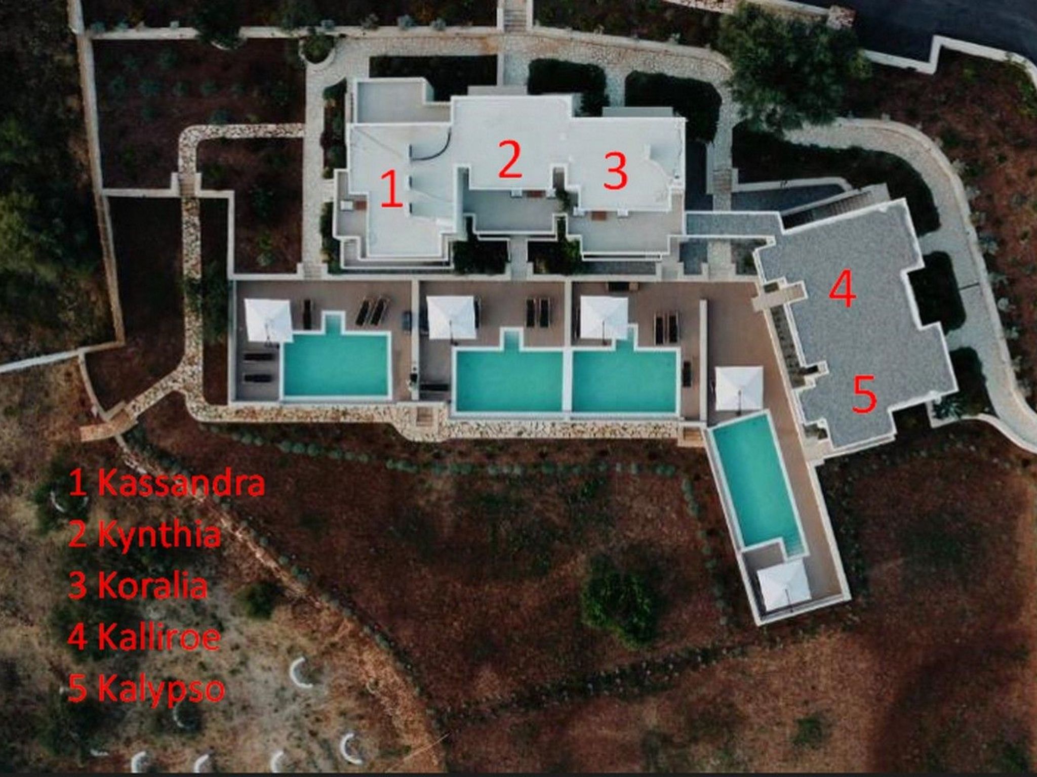 Kassandra - Image 2