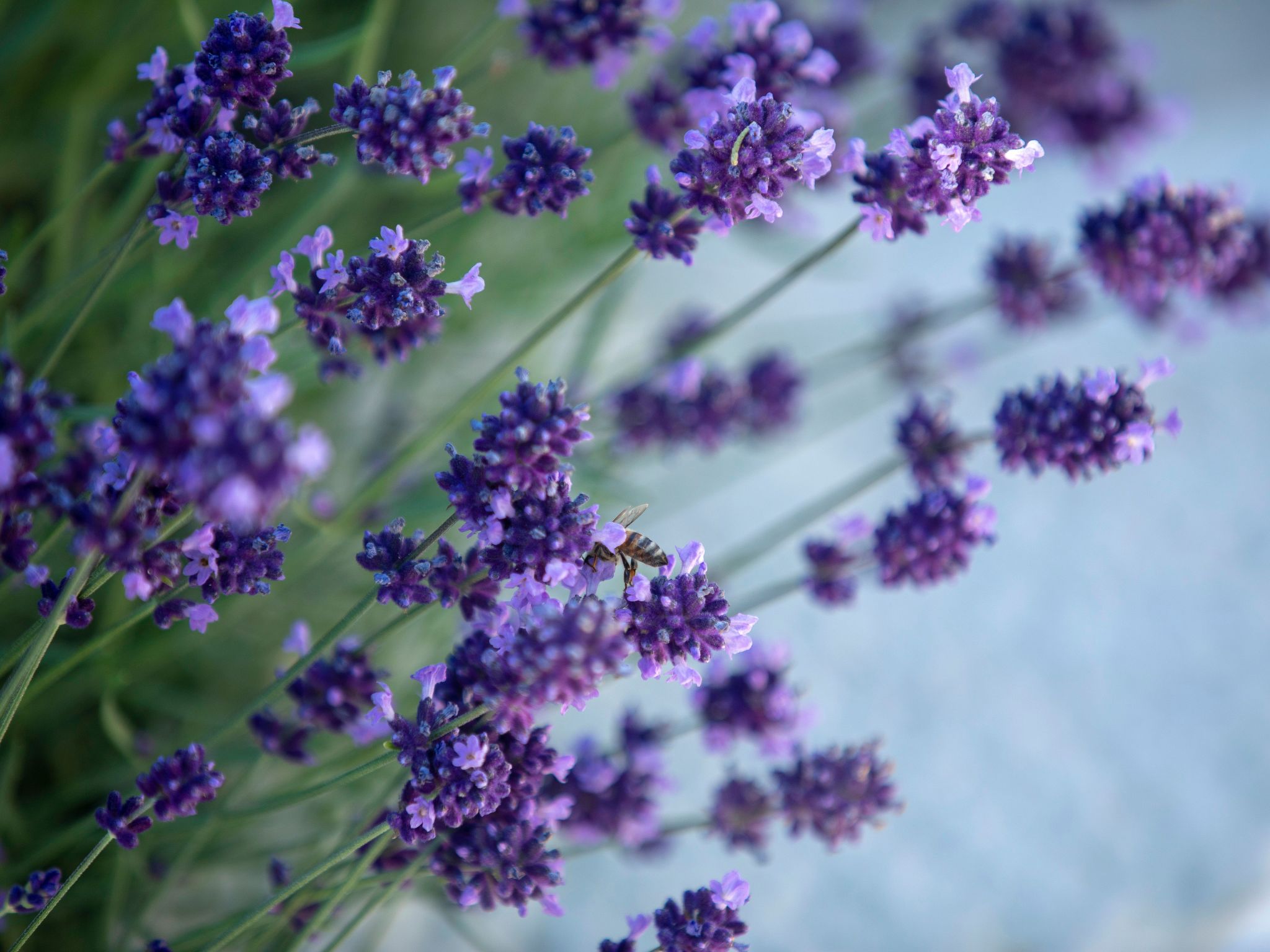 Boo premium living Villen auf Lefkada-Image-tags.info