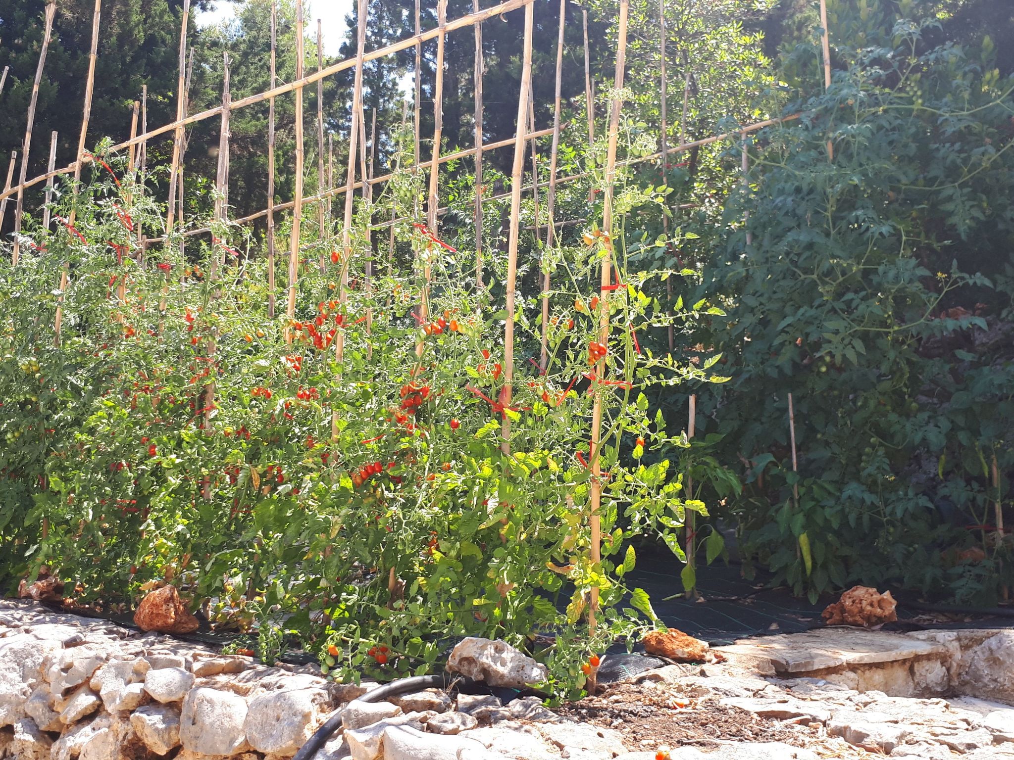 Boo premium living Villen auf Lefkada-Image-tags.info