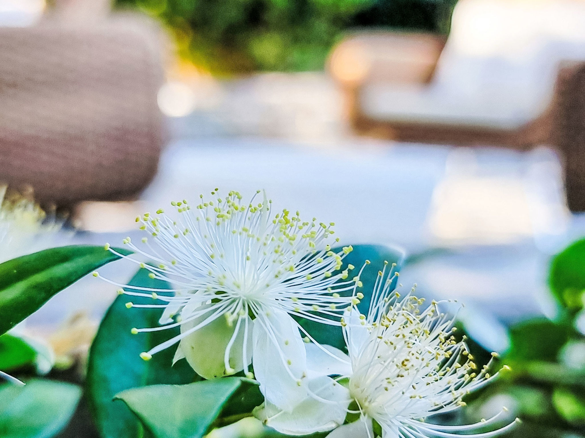 Ferienunterkunft "Villa Agape Pelion" - Buiten