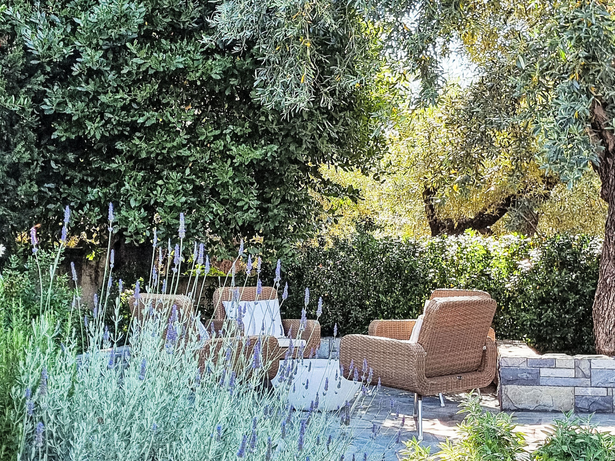 Ferienunterkunft "Villa Agape Pelion" - Buiten