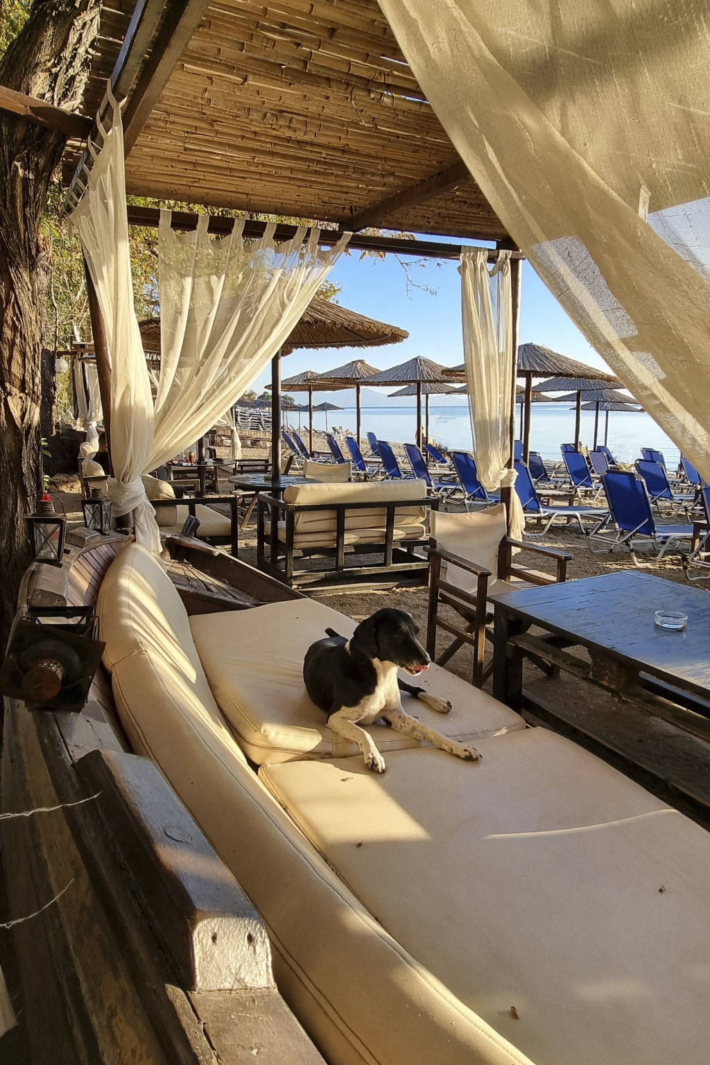 Ferienunterkunft "Villa Agape Pelion"-Drinnen