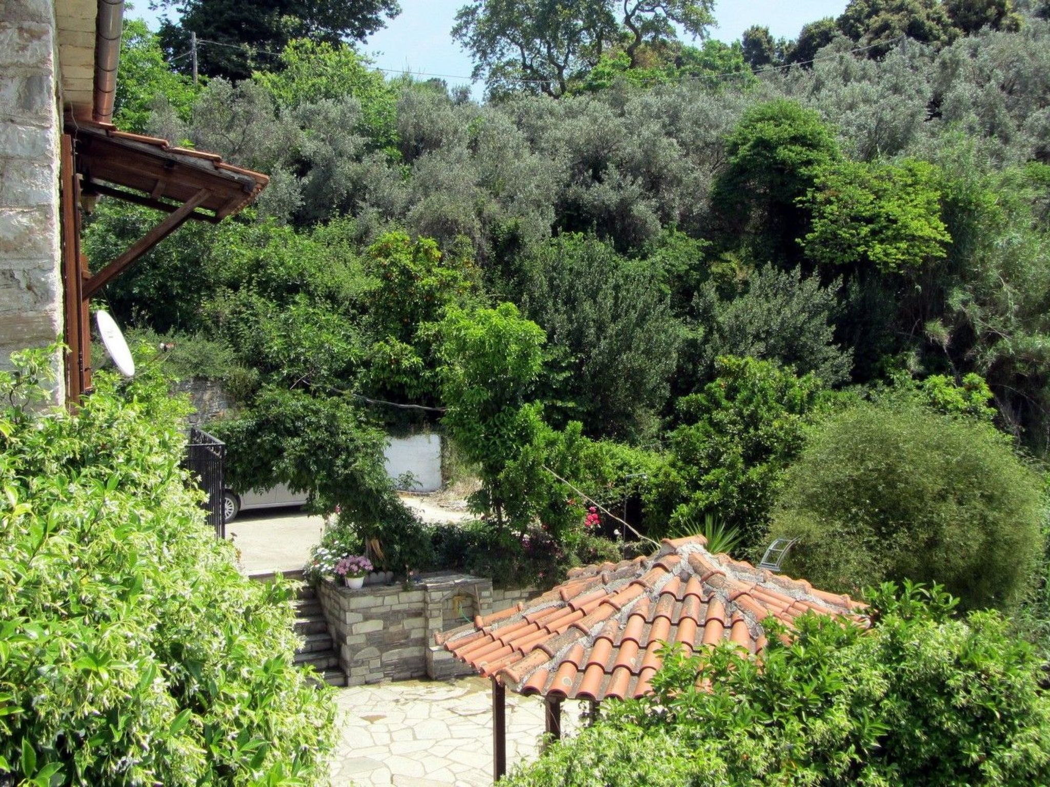 Tsorni - Image 4