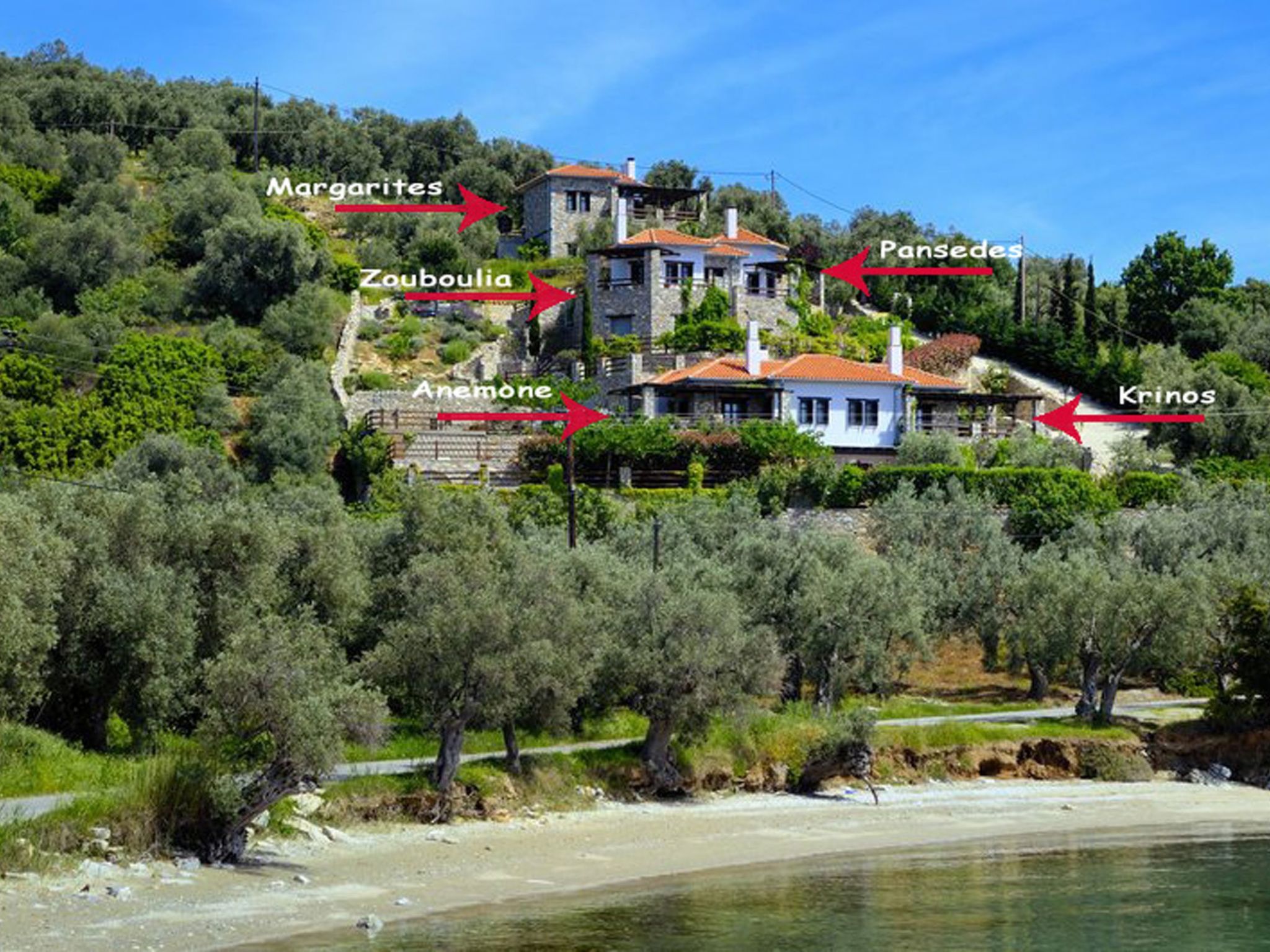 Anthyllion Villa Pelion mit Meerblick Anemone - Image 2
