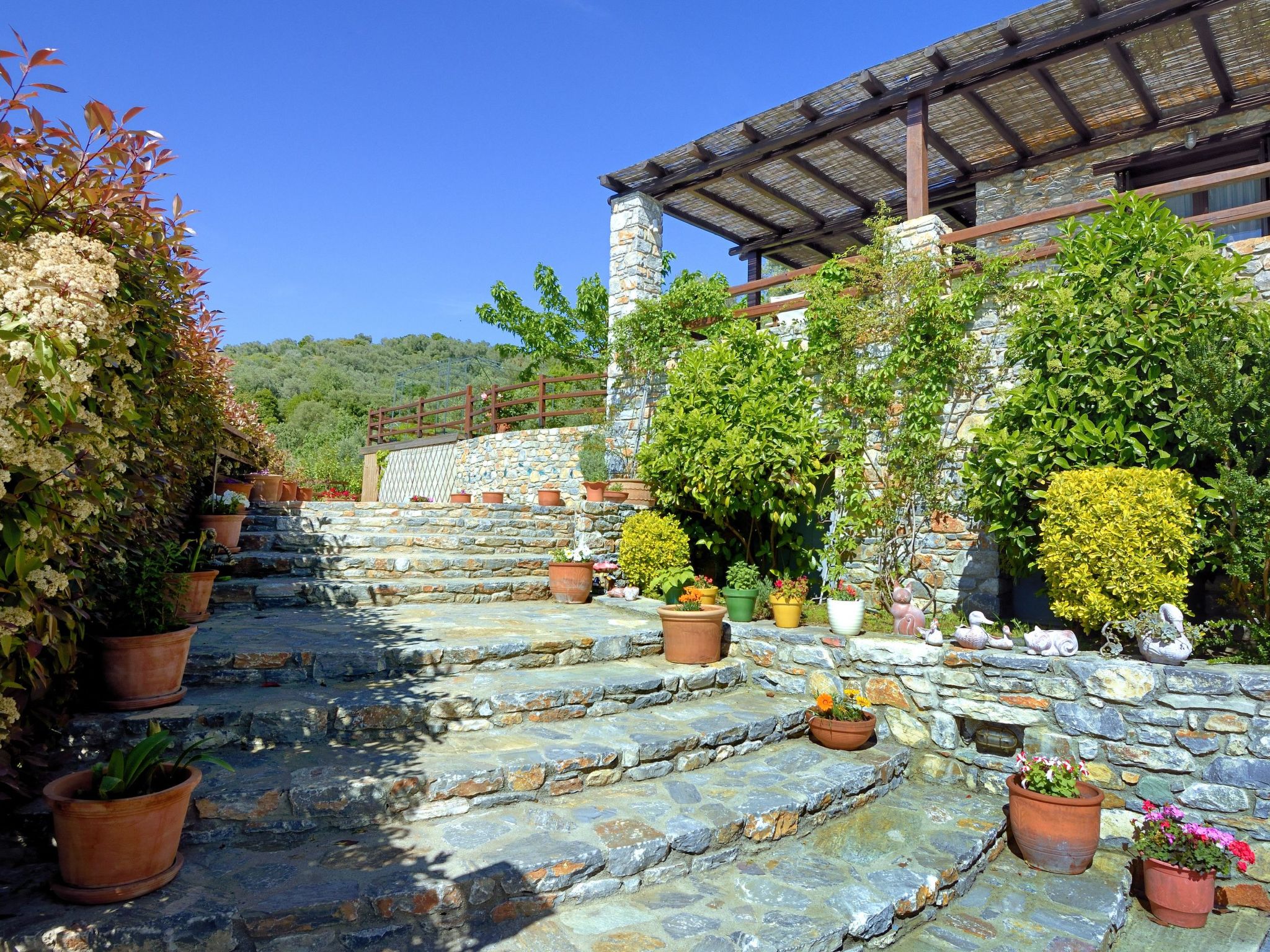 Anthyllion Villa Pelion mit Meerblick Anemone - Image 3