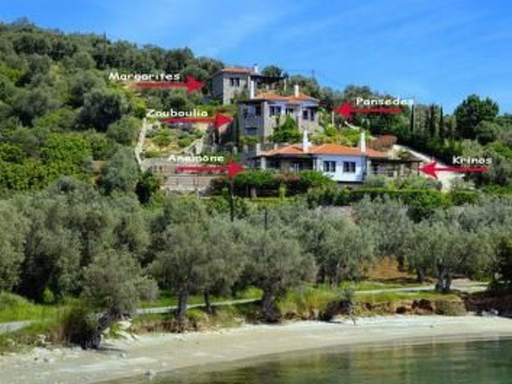 Zouboulia - Image 4