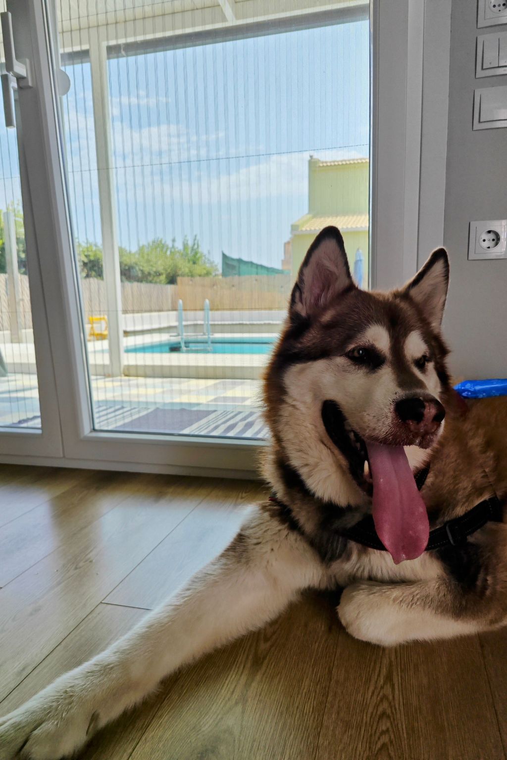 Kinderfreundliche Pool Villa 5p Seaside Beach Forest