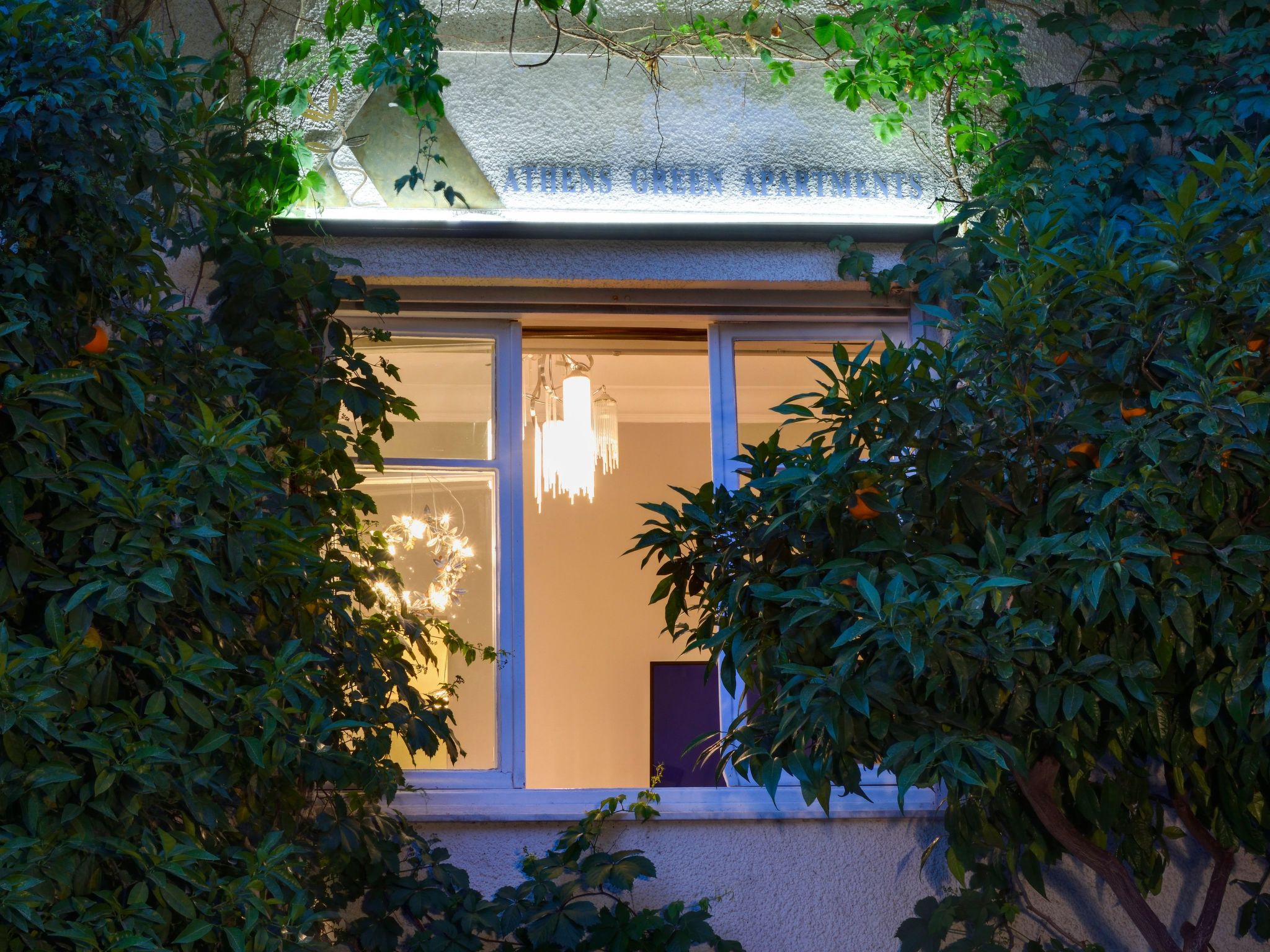 "Olive Tree" mit Balkon-Outside